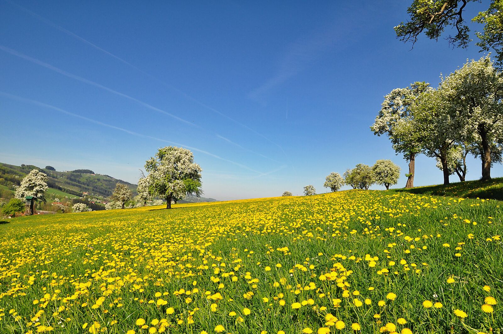 Nikon D90 sample photo. Nature, landscape, spring photography