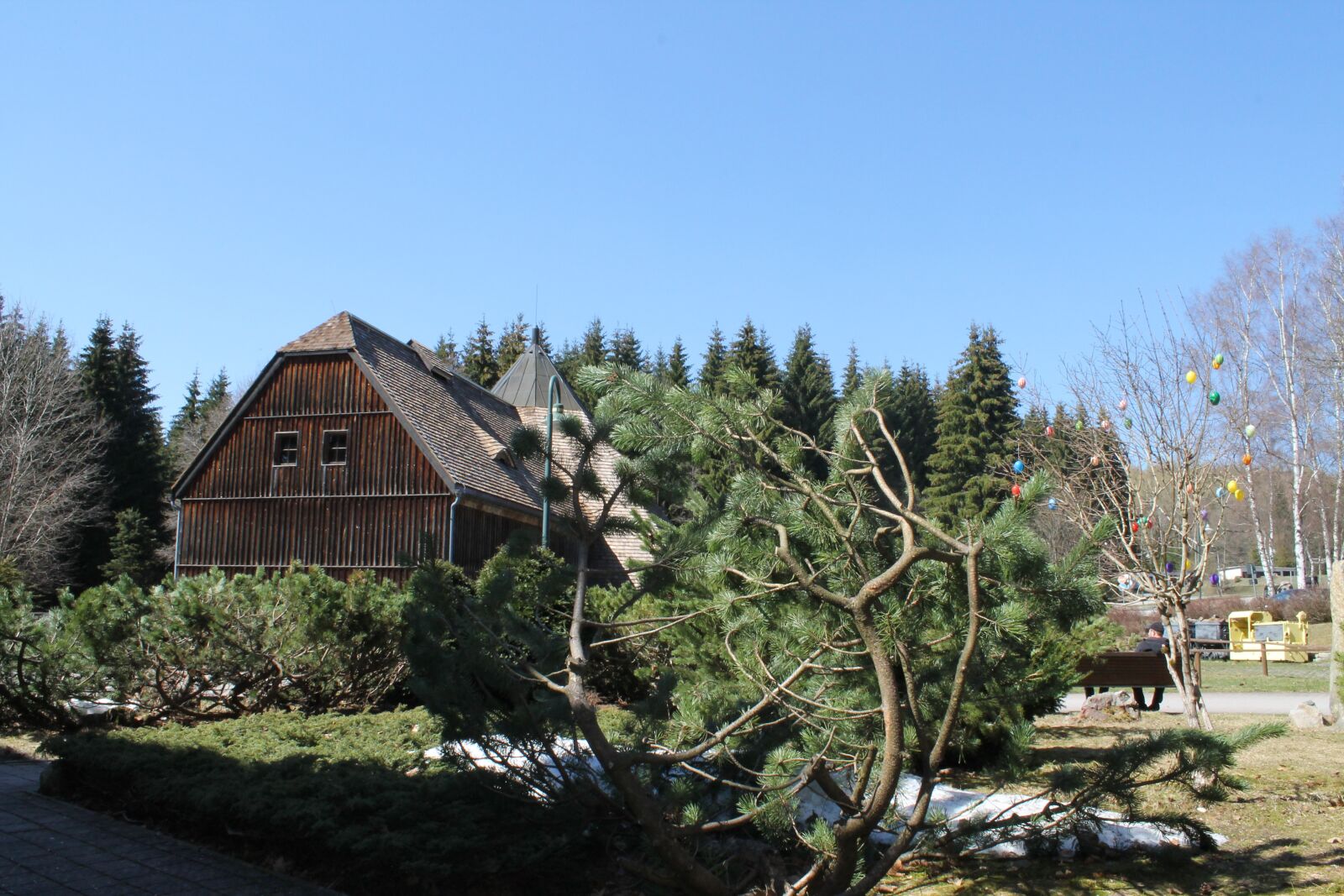 Canon EOS 1100D (EOS Rebel T3 / EOS Kiss X50) sample photo. Horse-whim was johann georg photography