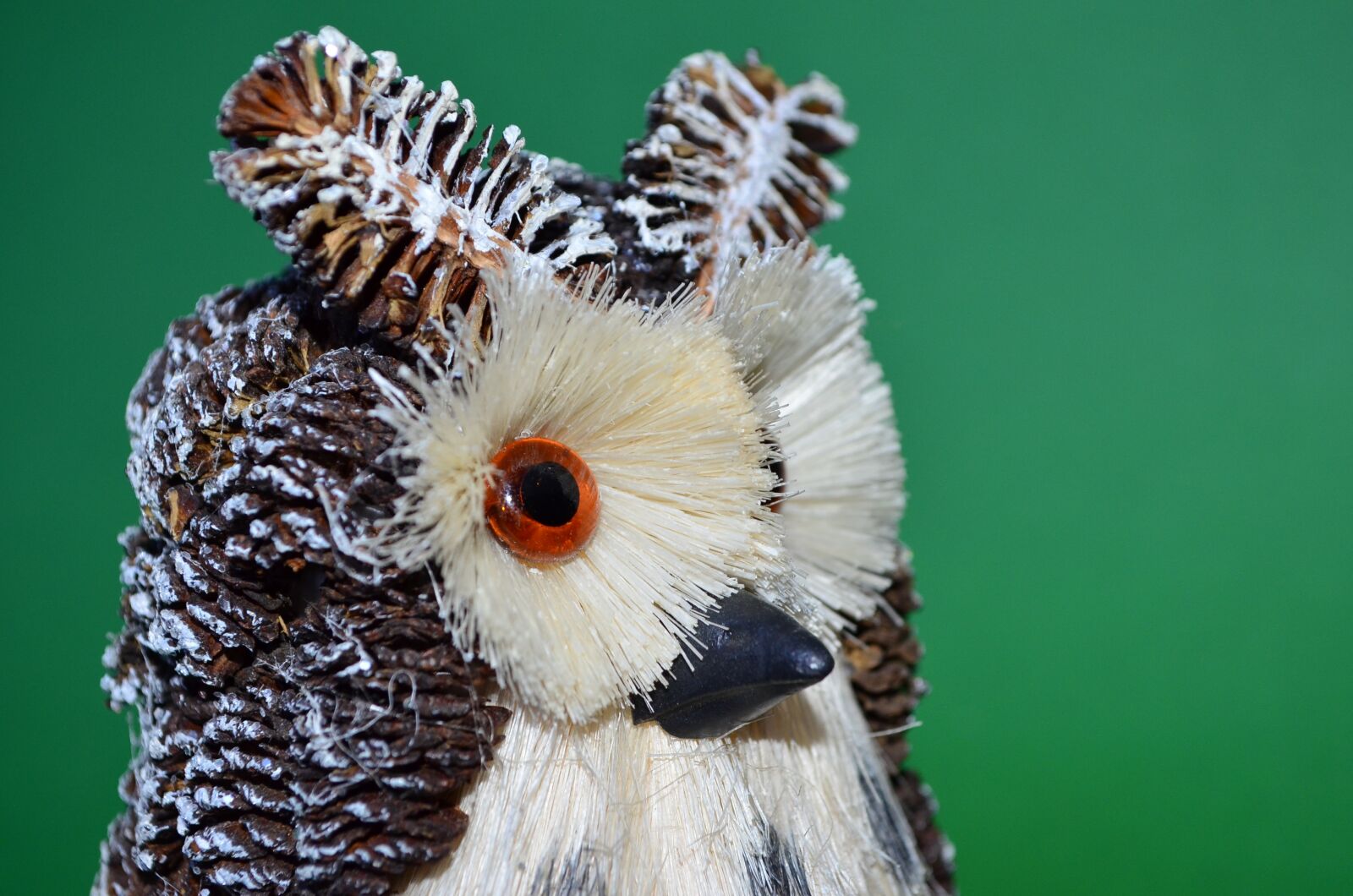 Nikon D5100 sample photo. Owl, green, bird photography