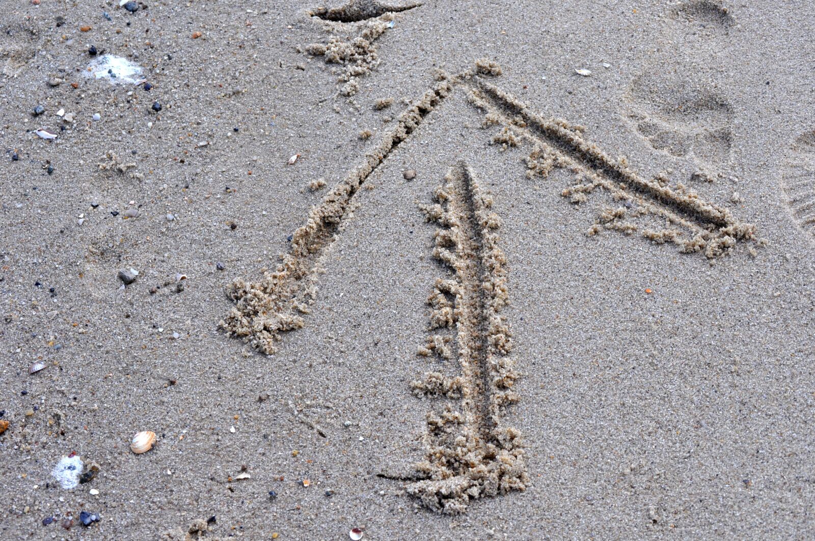 Nikon D5000 sample photo. Sand, beach, arrow photography