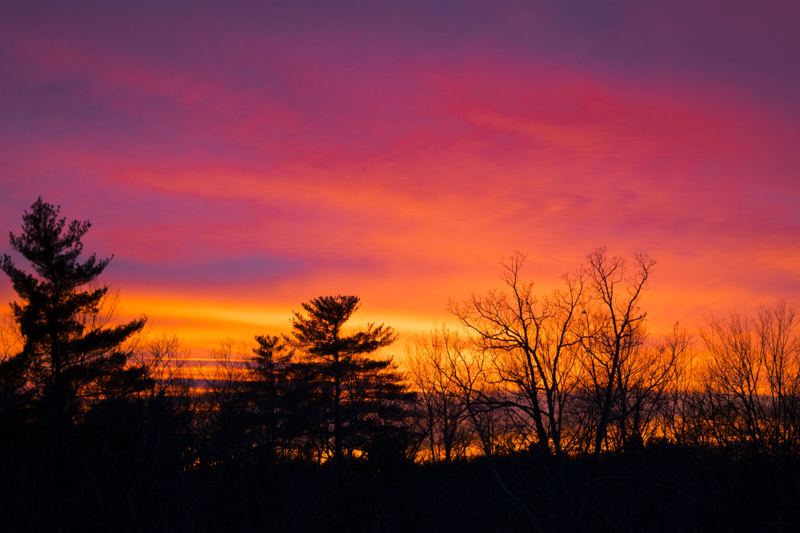 Nikon D5300 sample photo. Orange, sky, sunset, theme photography