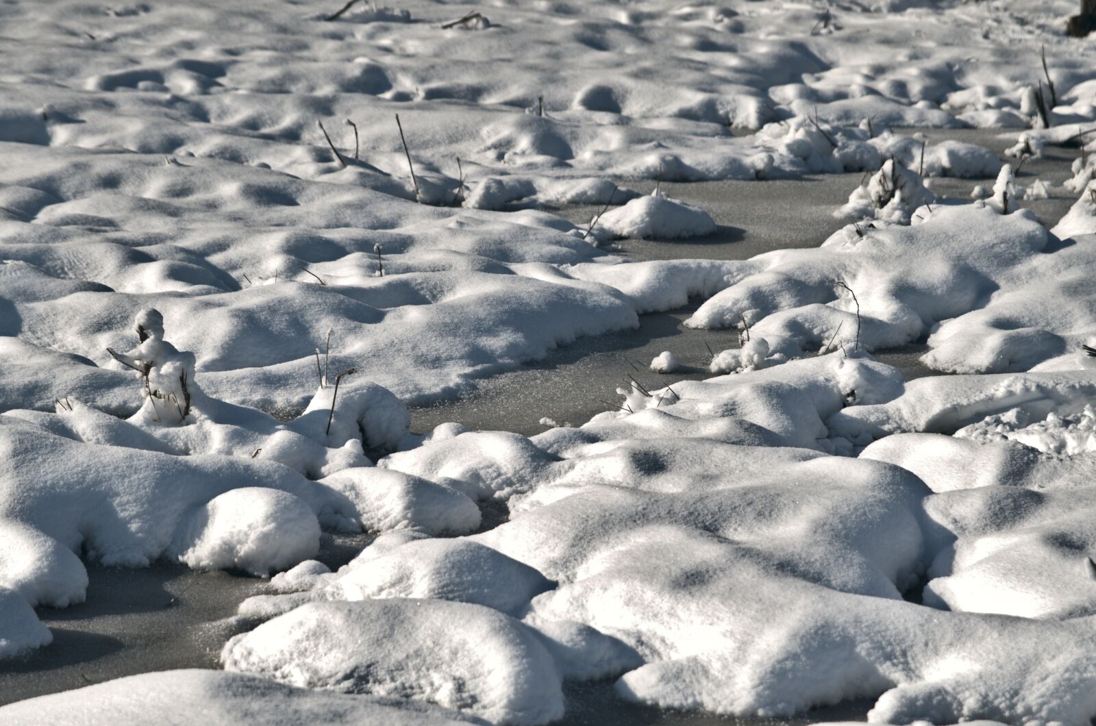 Nikon D7000 sample photo. February, winter, nature photography