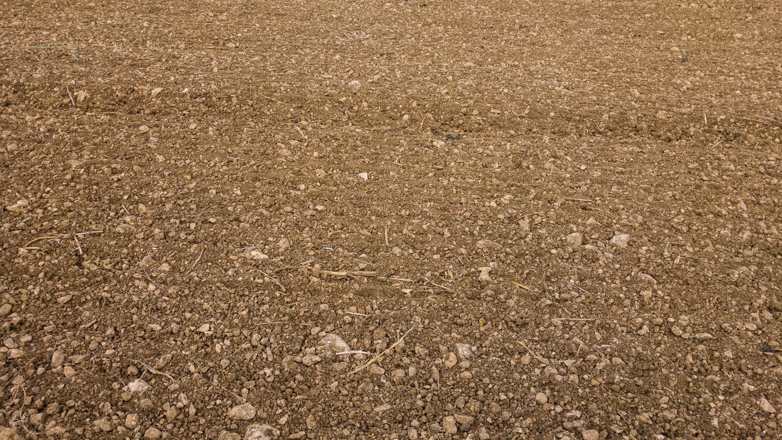 LG G4 sample photo. Material, earth, agriculture photography