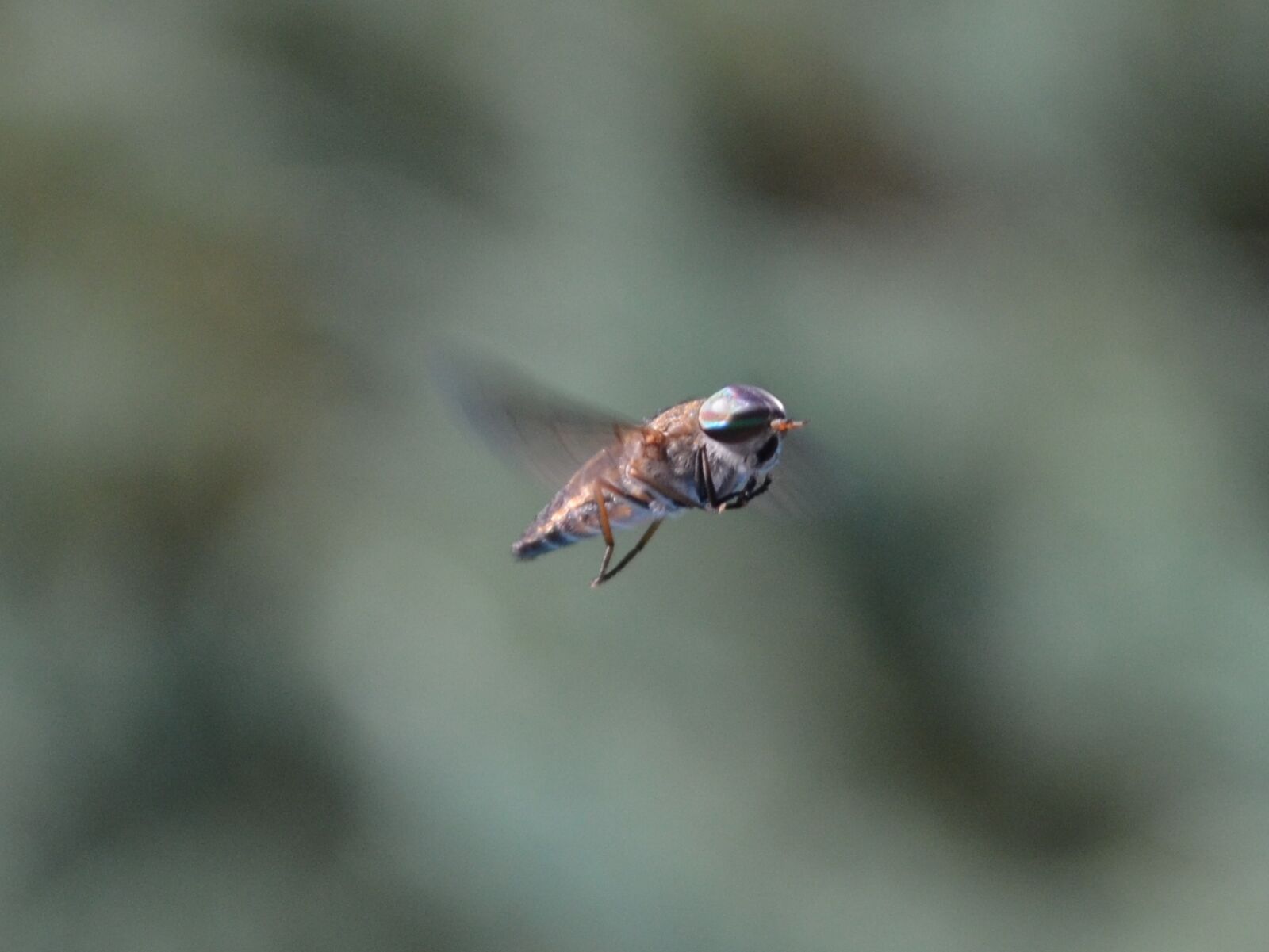 Nikon D5100 sample photo