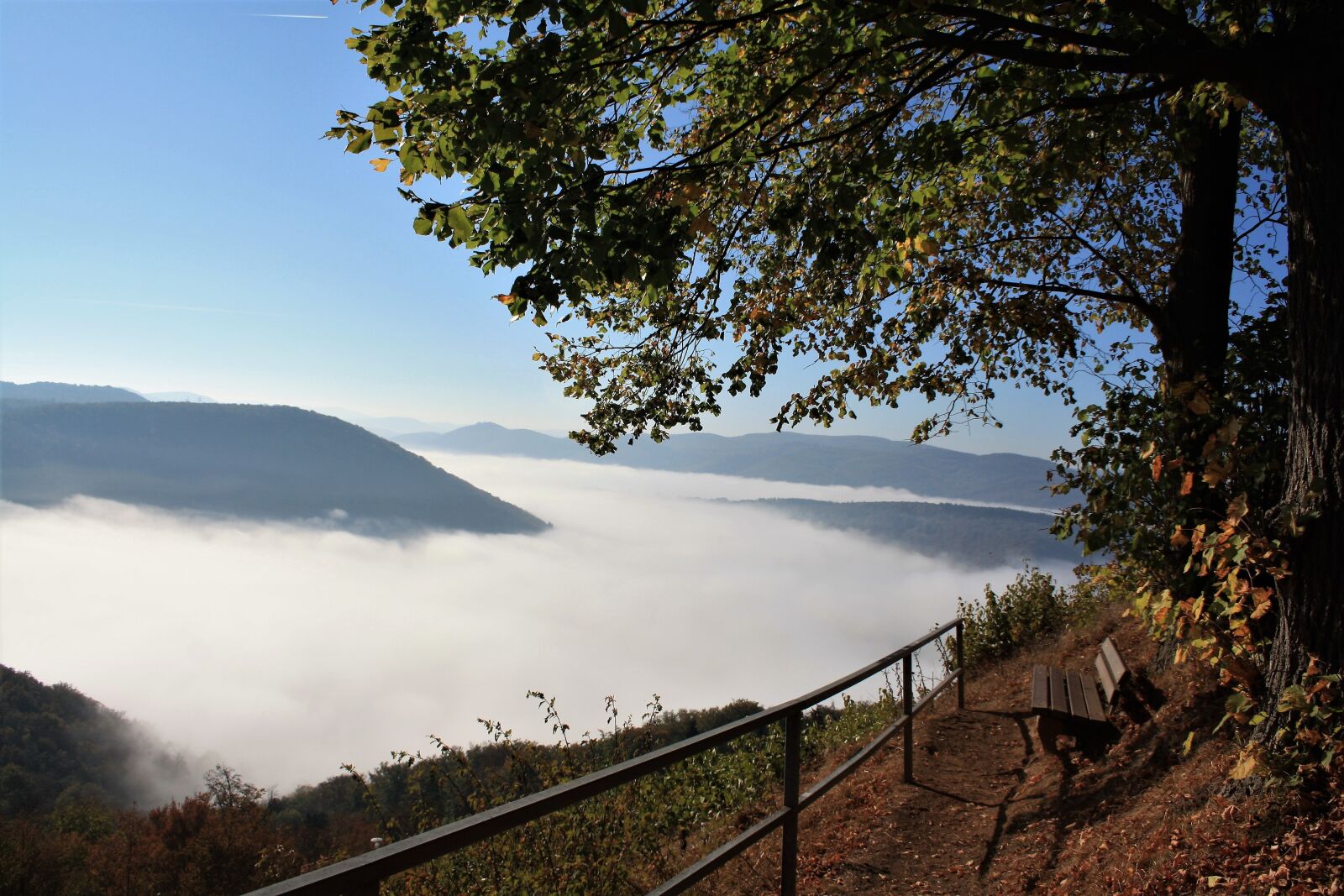 Canon EOS 1000D (EOS Digital Rebel XS / EOS Kiss F) sample photo. Edersee, autumn, fog photography