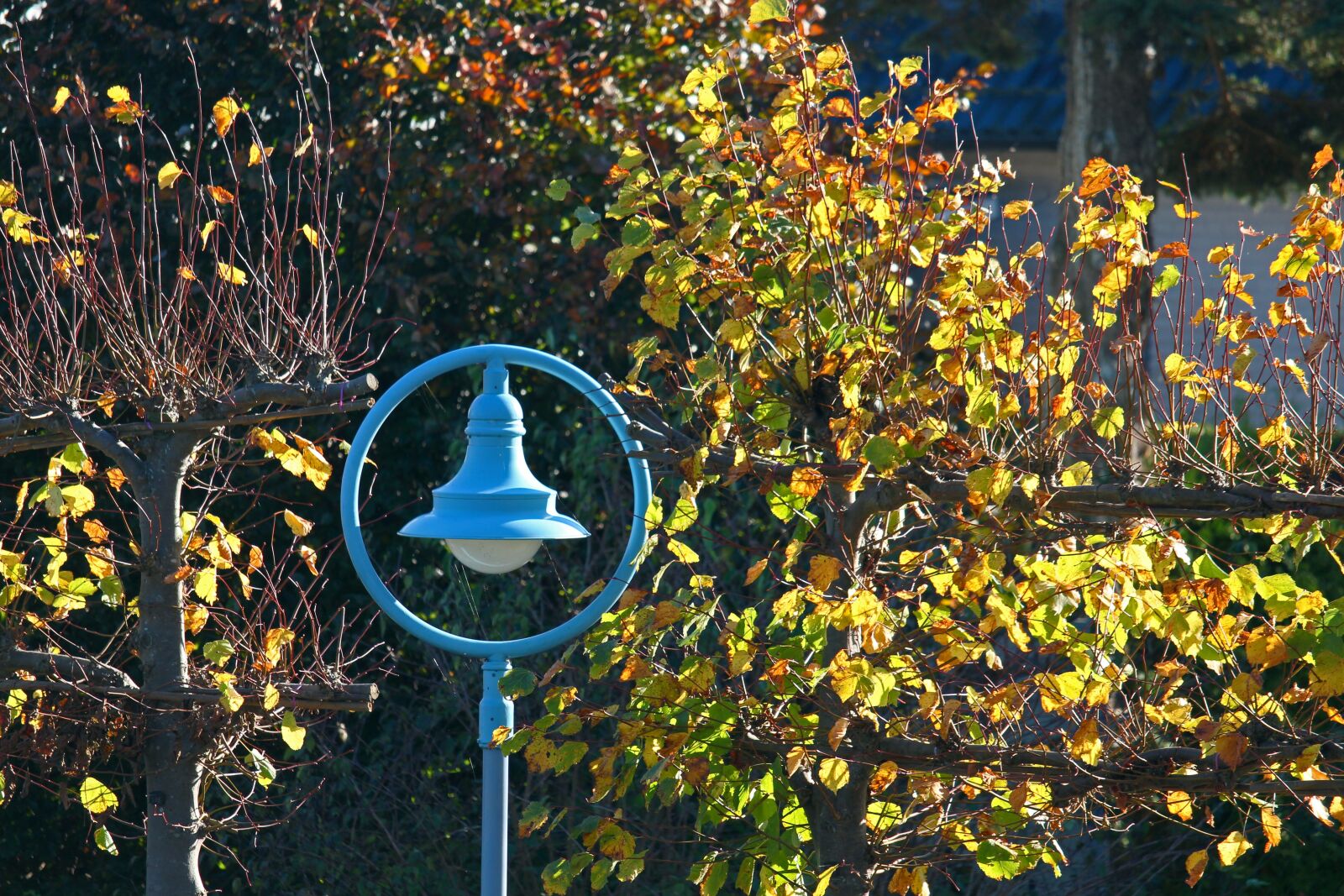 Canon EF-S 55-250mm F4-5.6 IS STM sample photo. Street lamp, lighting, lantern photography