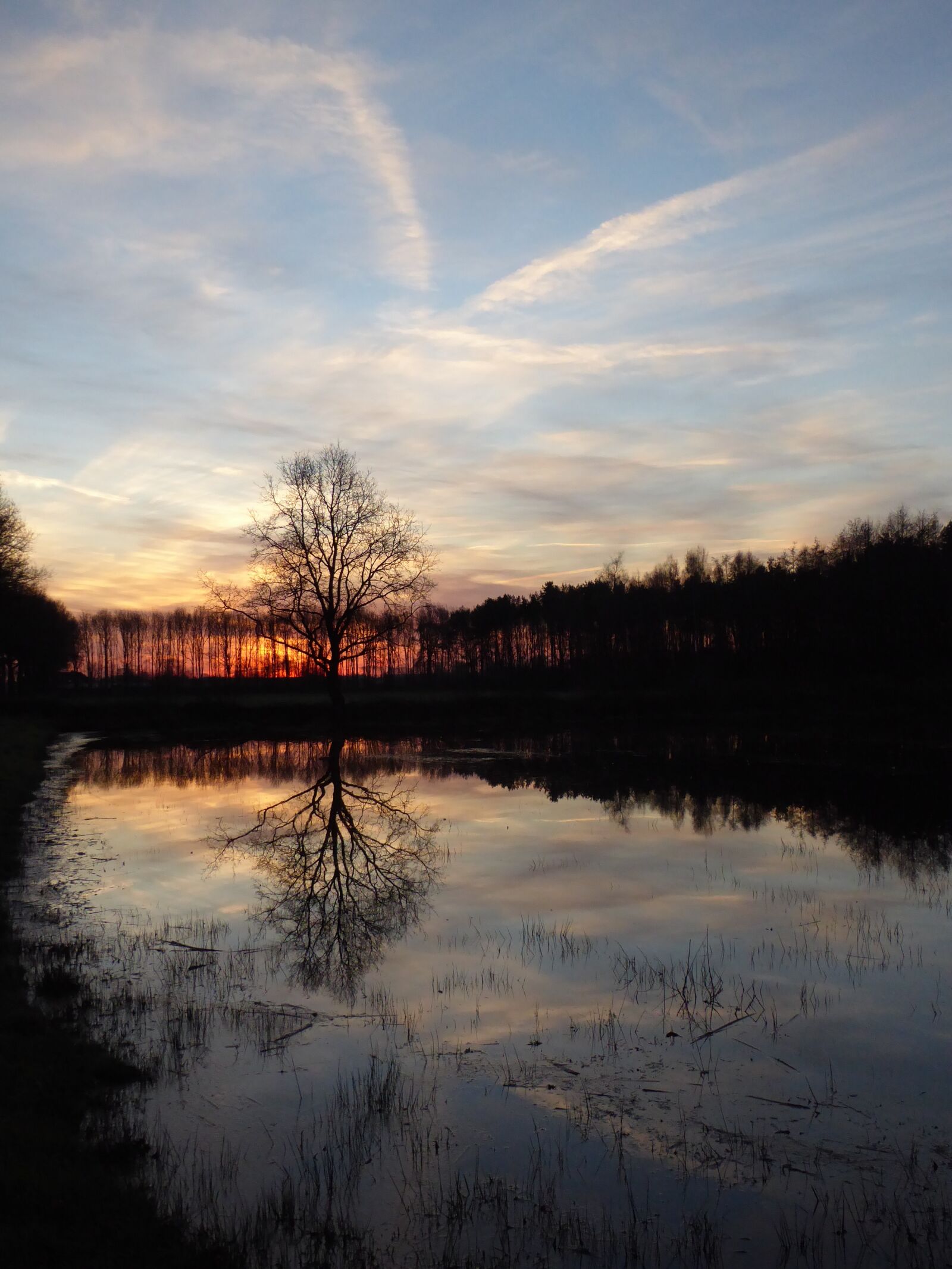 Panasonic Lumix DMC-ZS50 (Lumix DMC-TZ70) sample photo. Sunrise, zelhem, plas photography
