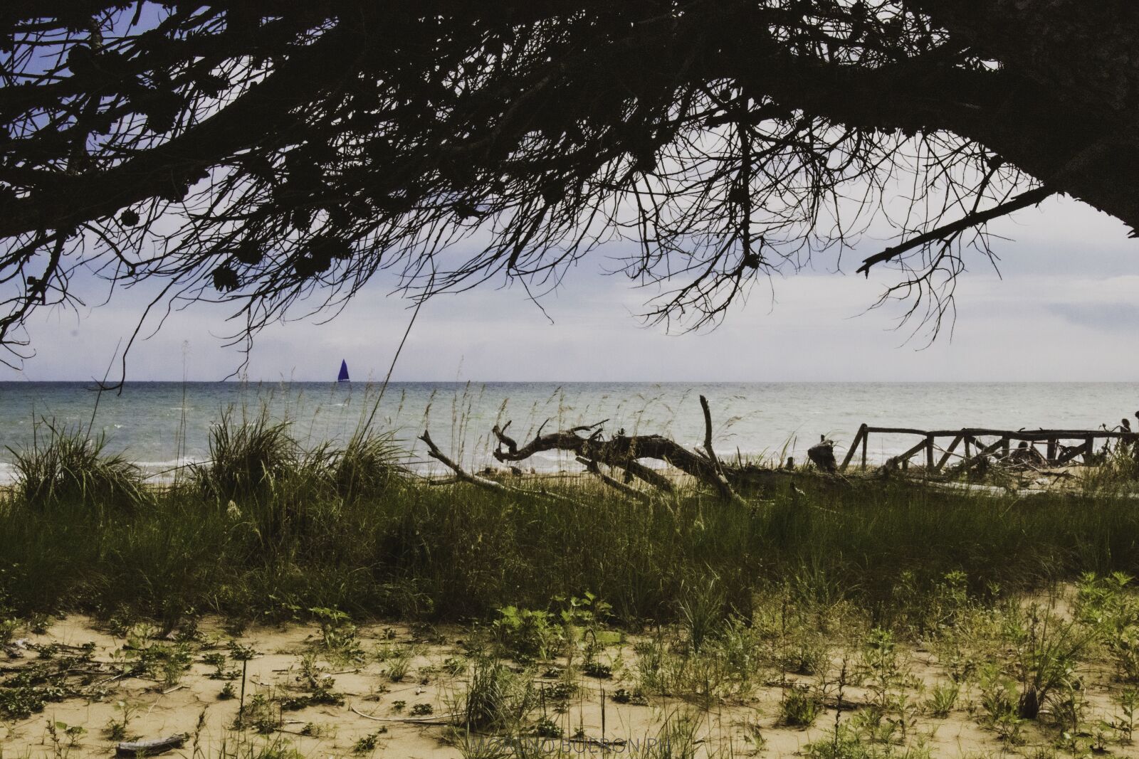 Canon EOS 80D sample photo. Beach, sea, vela photography