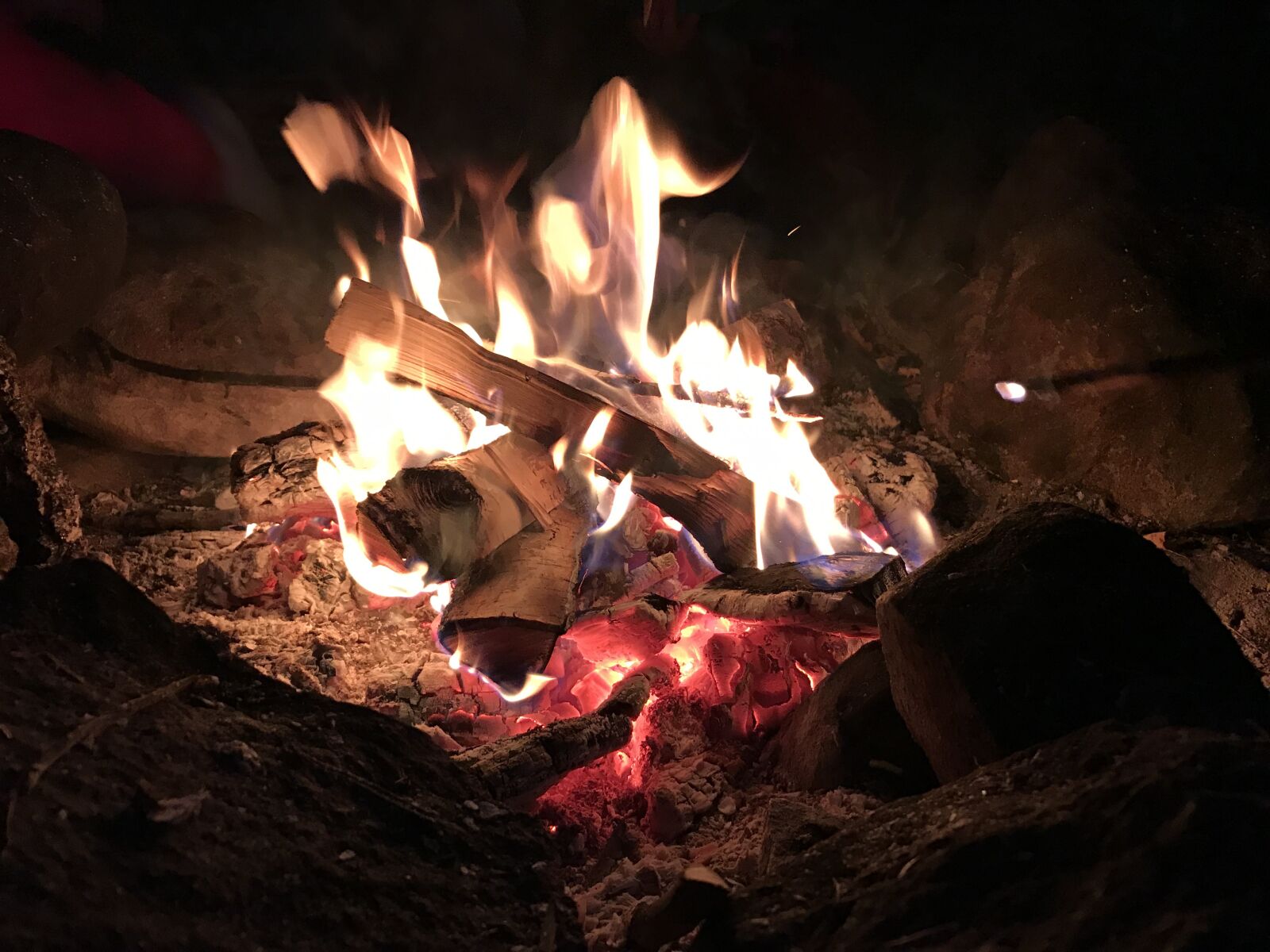 Apple iPhone 7 sample photo. Campfire, darkness, birch photography