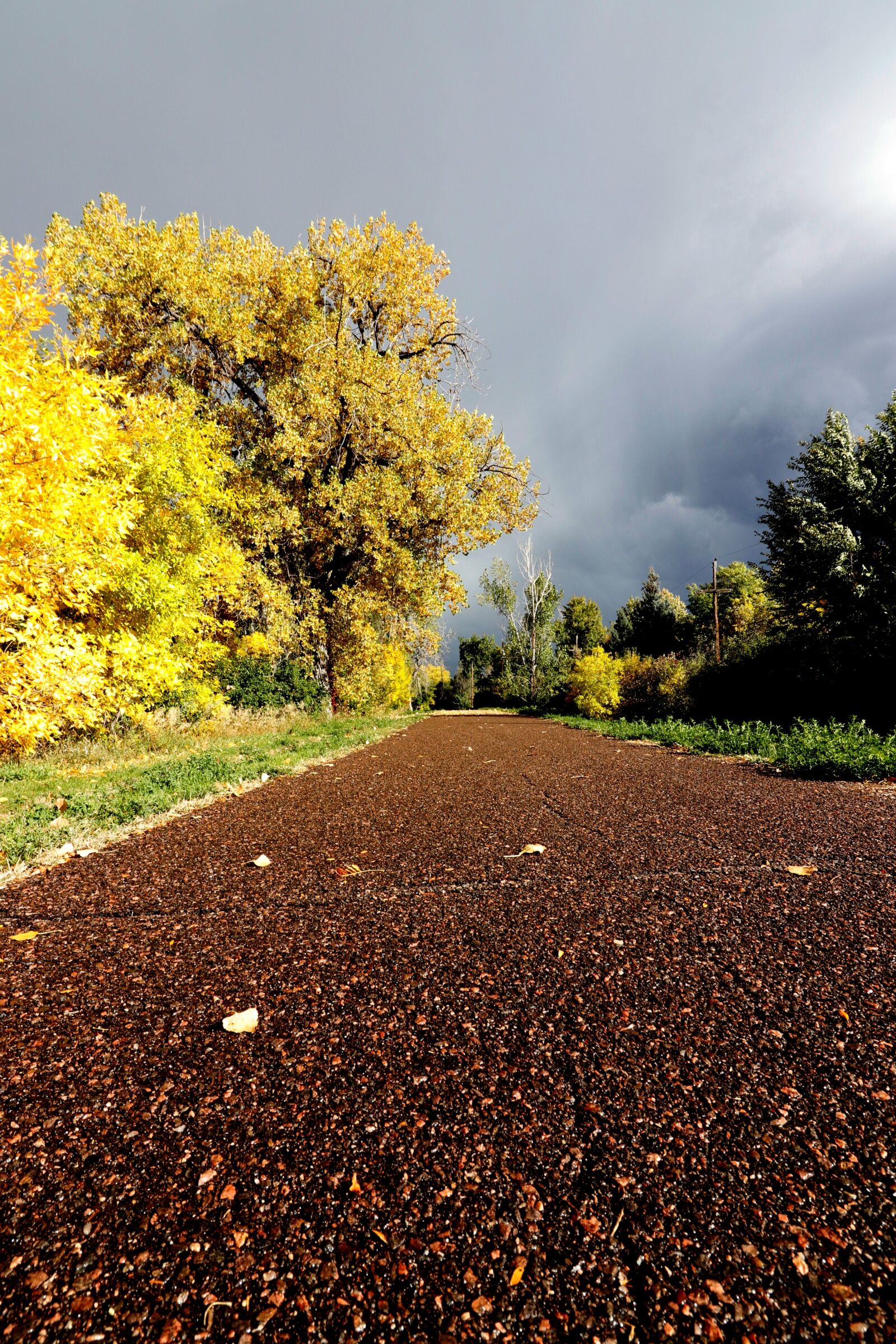 Canon EOS 80D sample photo. Path, trail, walking photography