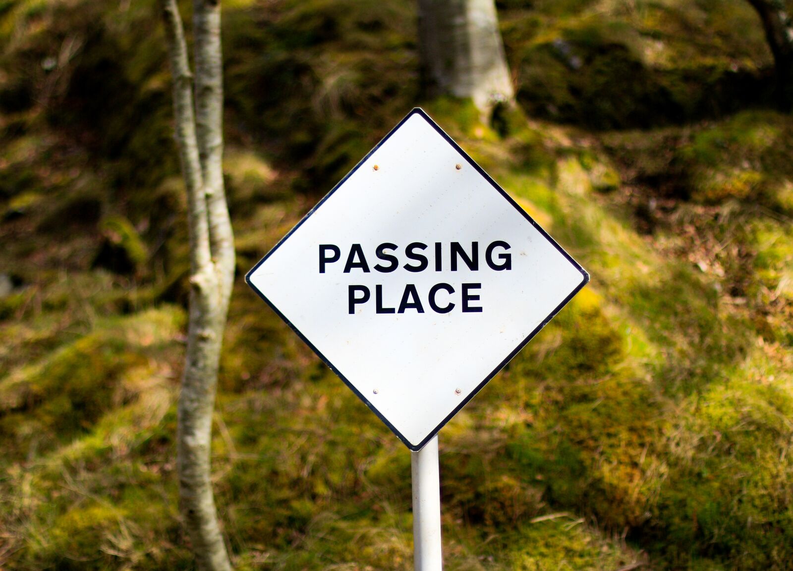 Знак свободно. Знак places. Дорожные знаки Шотландии. Pass картинки. Дорожные знаки в лесу.