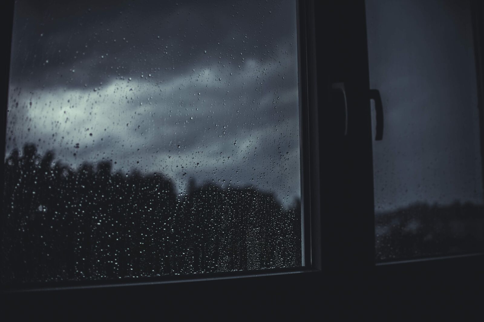 Nikon D700 sample photo. Dark, rain, raindrops photography