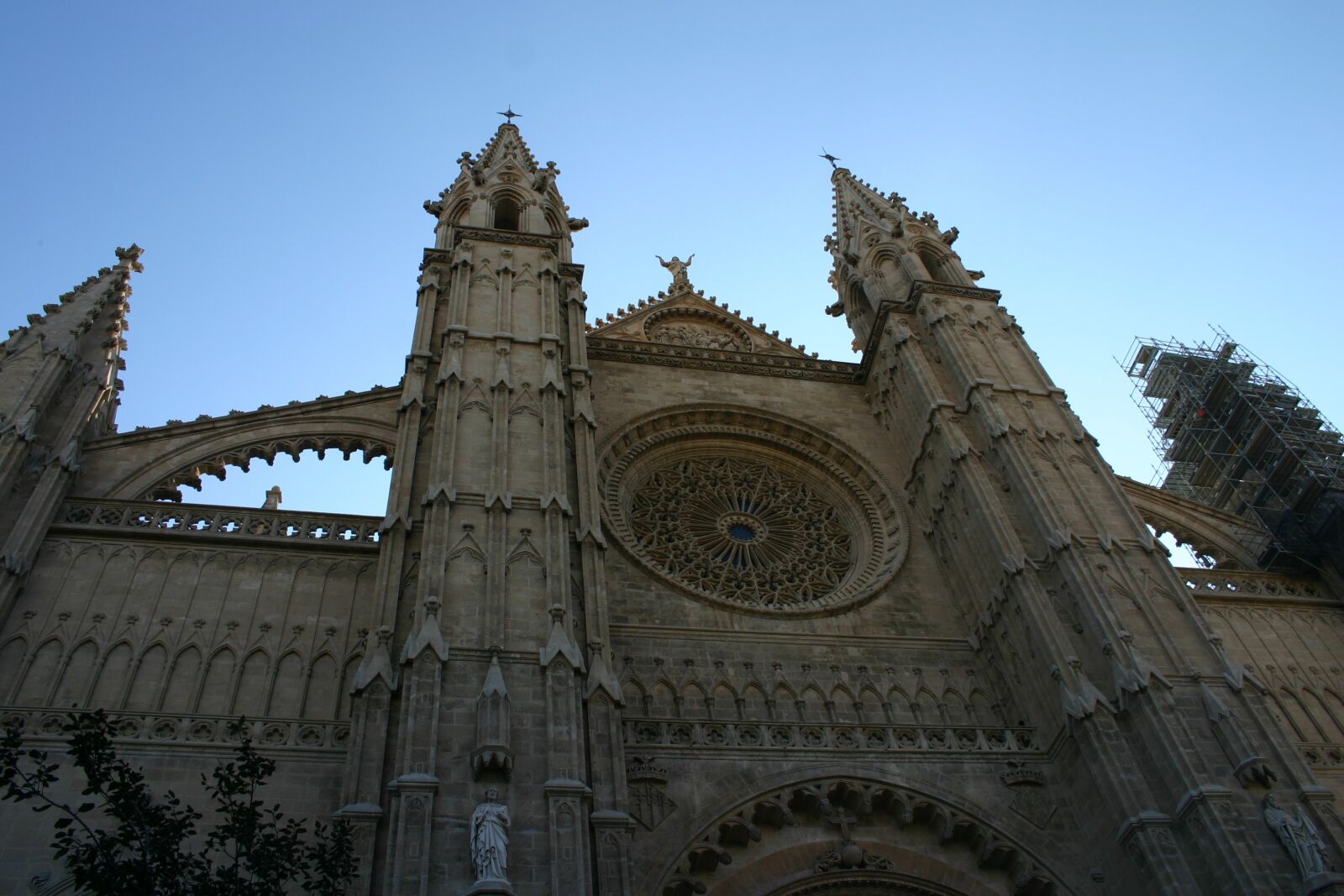 Canon EOS 300D (EOS Digital Rebel / EOS Kiss Digital) sample photo. Church, mallorca, cathedral photography