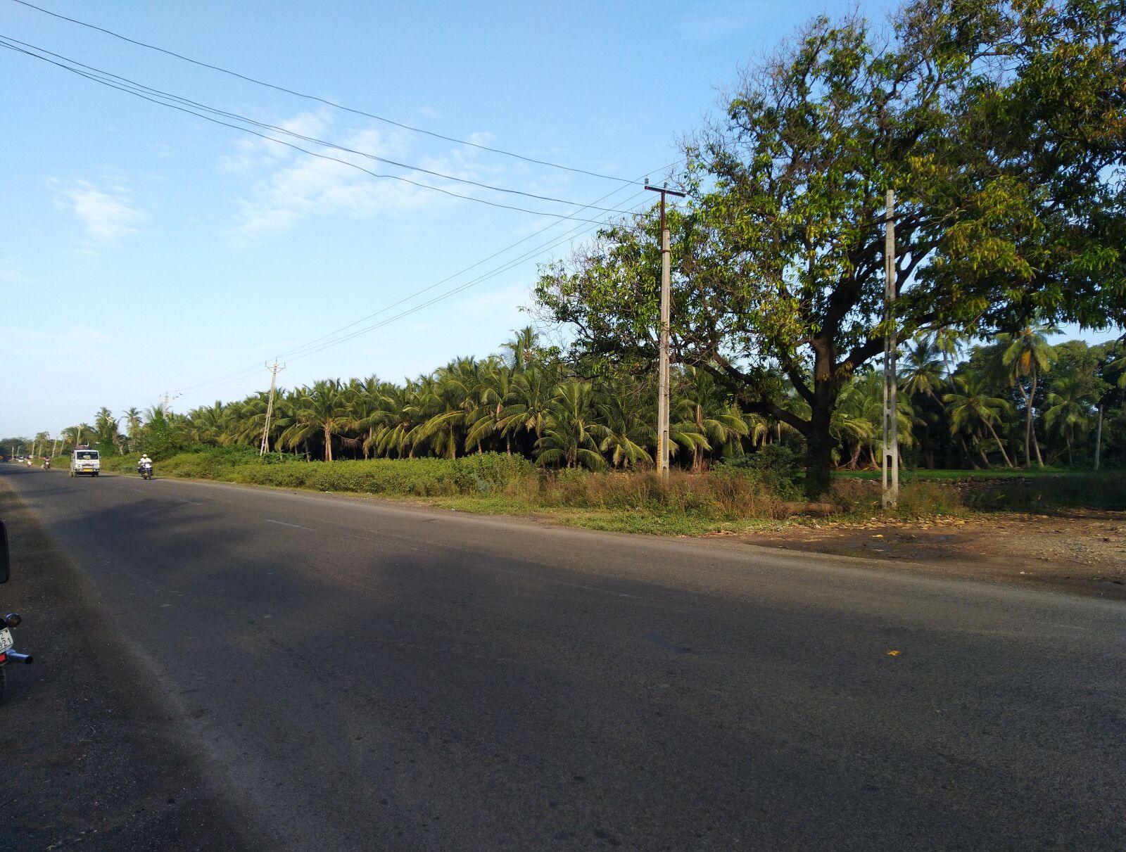 ASUS ZenFone Max Pro M1 (ZB602KL) (WW) / Max Pro M1 (ZB601KL) (IN) sample photo. Road, sky, roadside tree photography