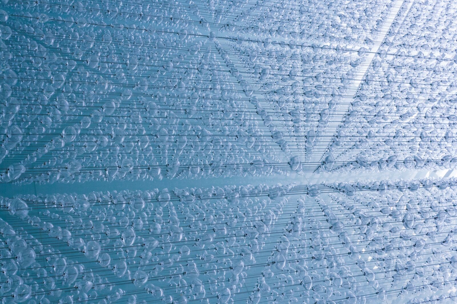 Canon EOS 1000D (EOS Digital Rebel XS / EOS Kiss F) sample photo. Glass, abstract, pattern photography