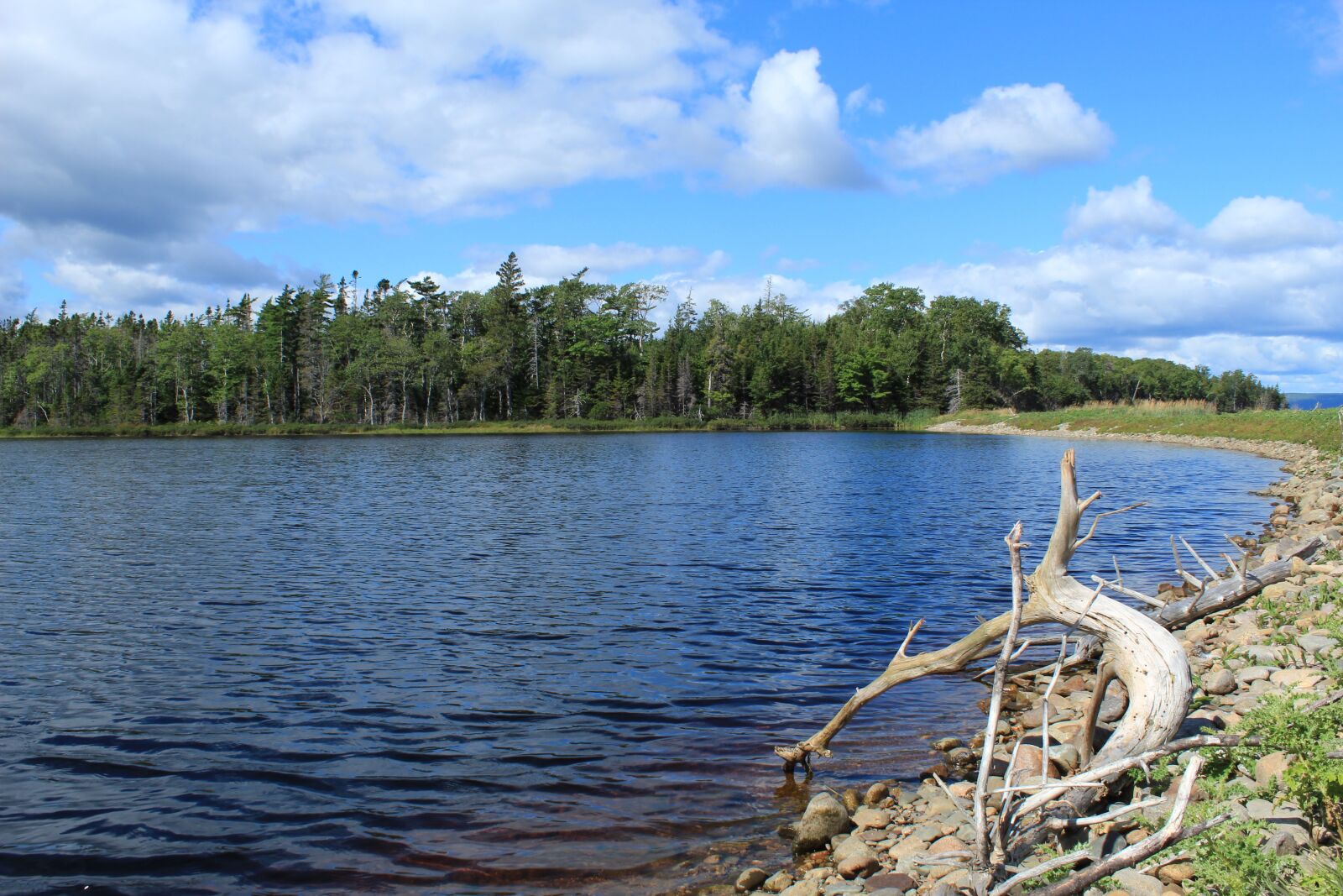 Canon EOS 1300D (EOS Rebel T6 / EOS Kiss X80) sample photo. Freshwater, lake, wood photography