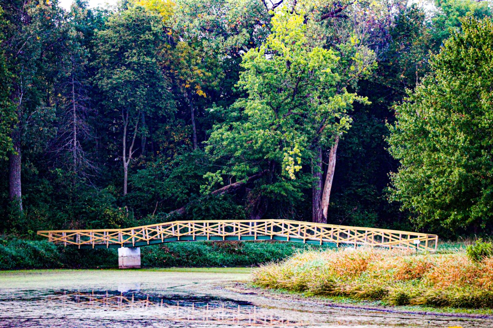 EF75-300mm f/4-5.6 sample photo. Bridge, trail, path photography