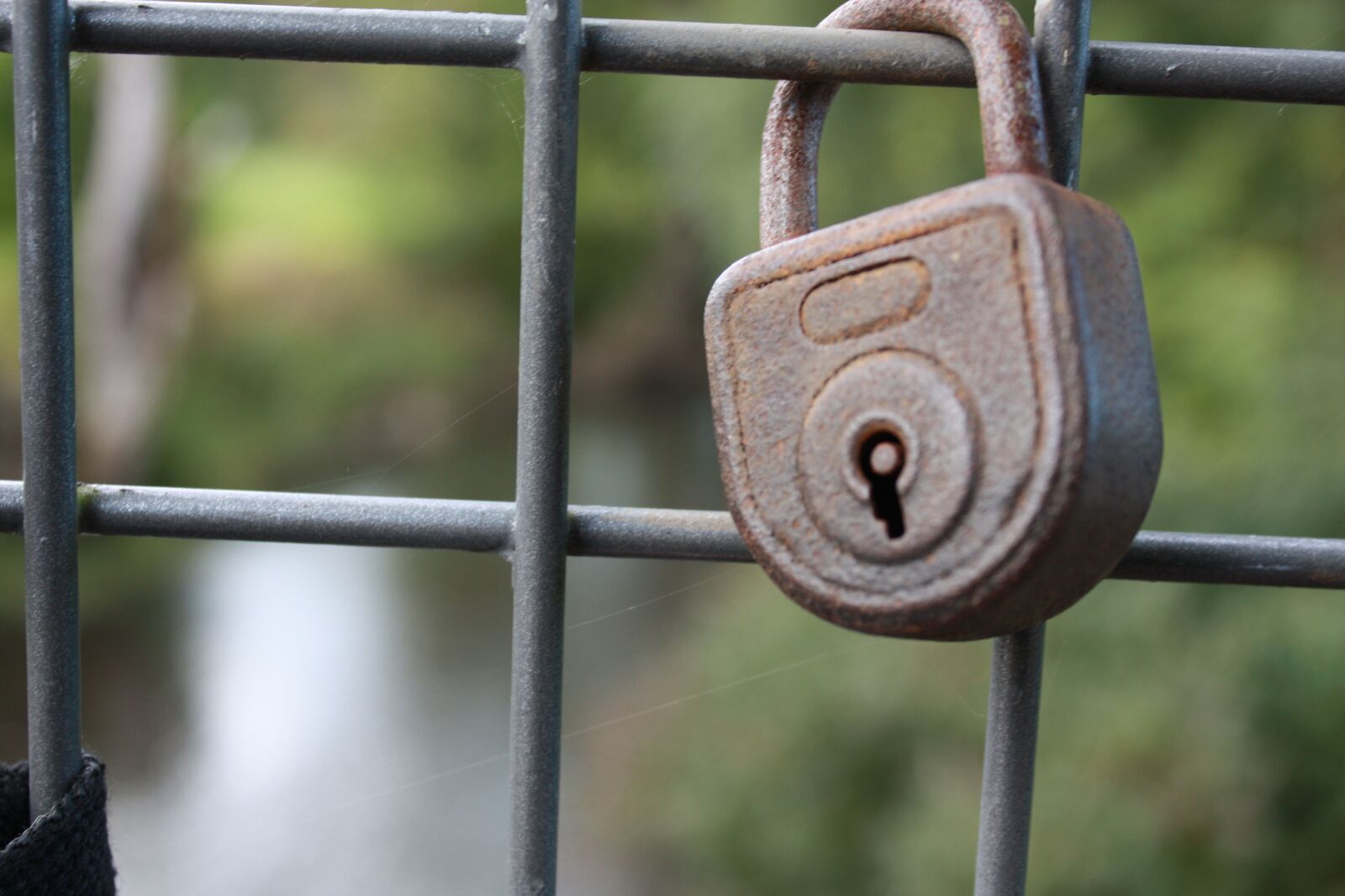 Canon EOS 450D (EOS Rebel XSi / EOS Kiss X2) sample photo. Grating, padlock, river photography