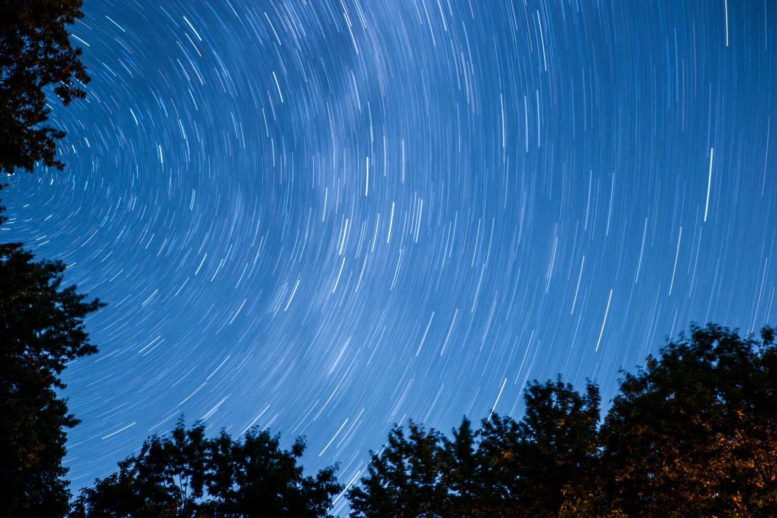 Fujifilm X-E2 sample photo. Dark, nature, silhouette photography