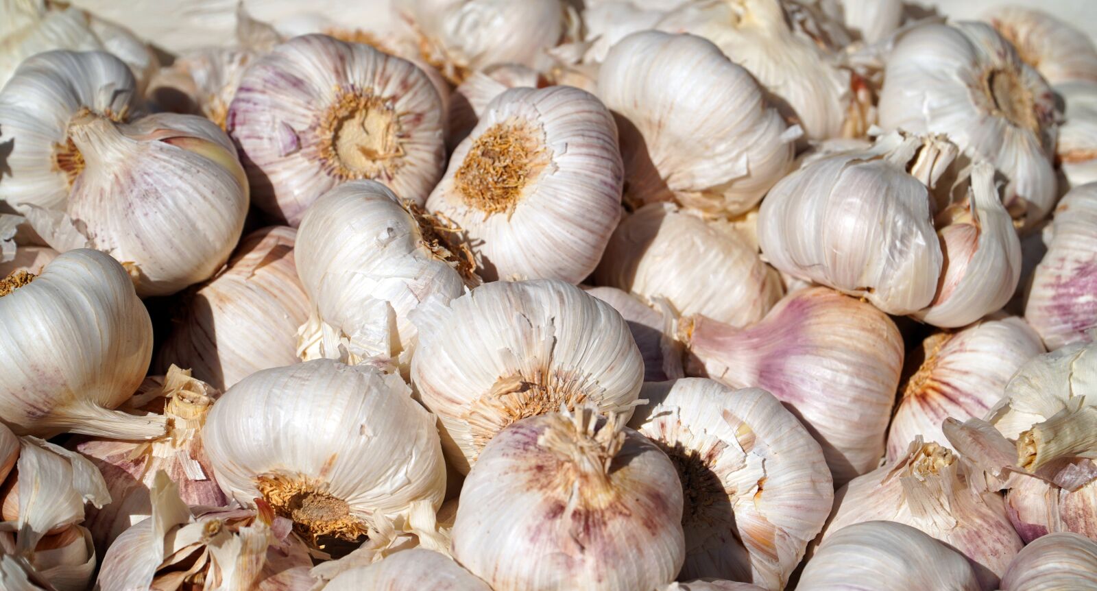 Sony E PZ 18-105mm F4 G OSS sample photo. Onion, vegetables, healthy photography