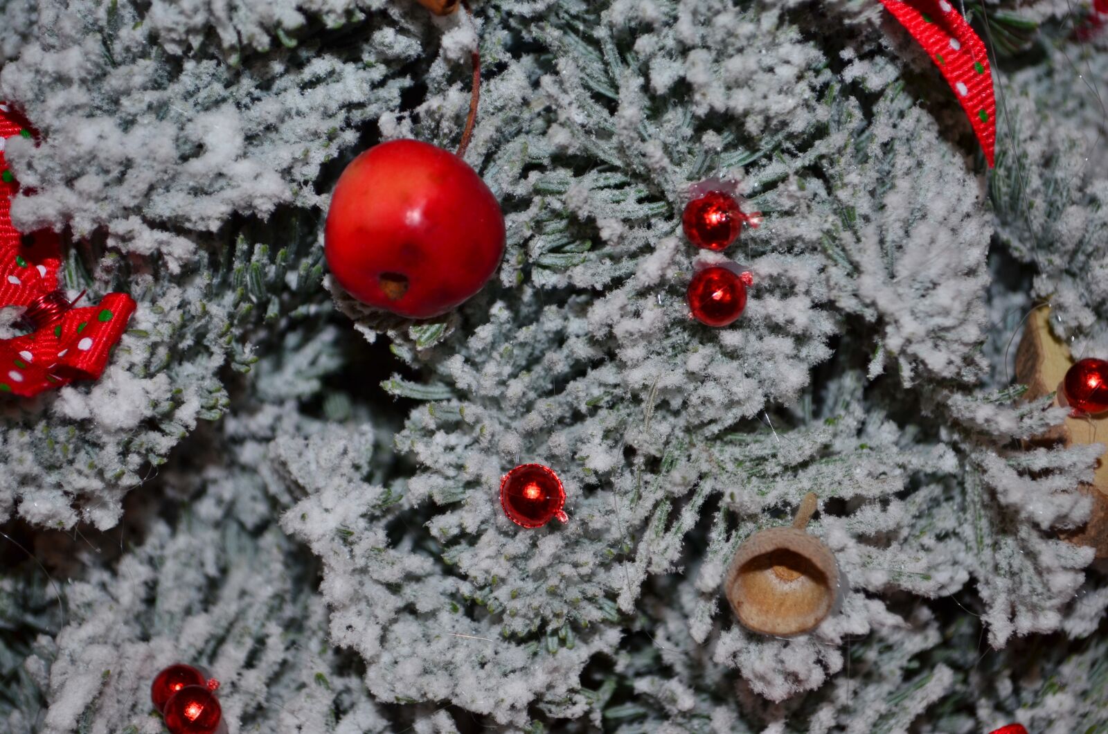 Nikon D5100 sample photo. Christmas, winter, holiday photography