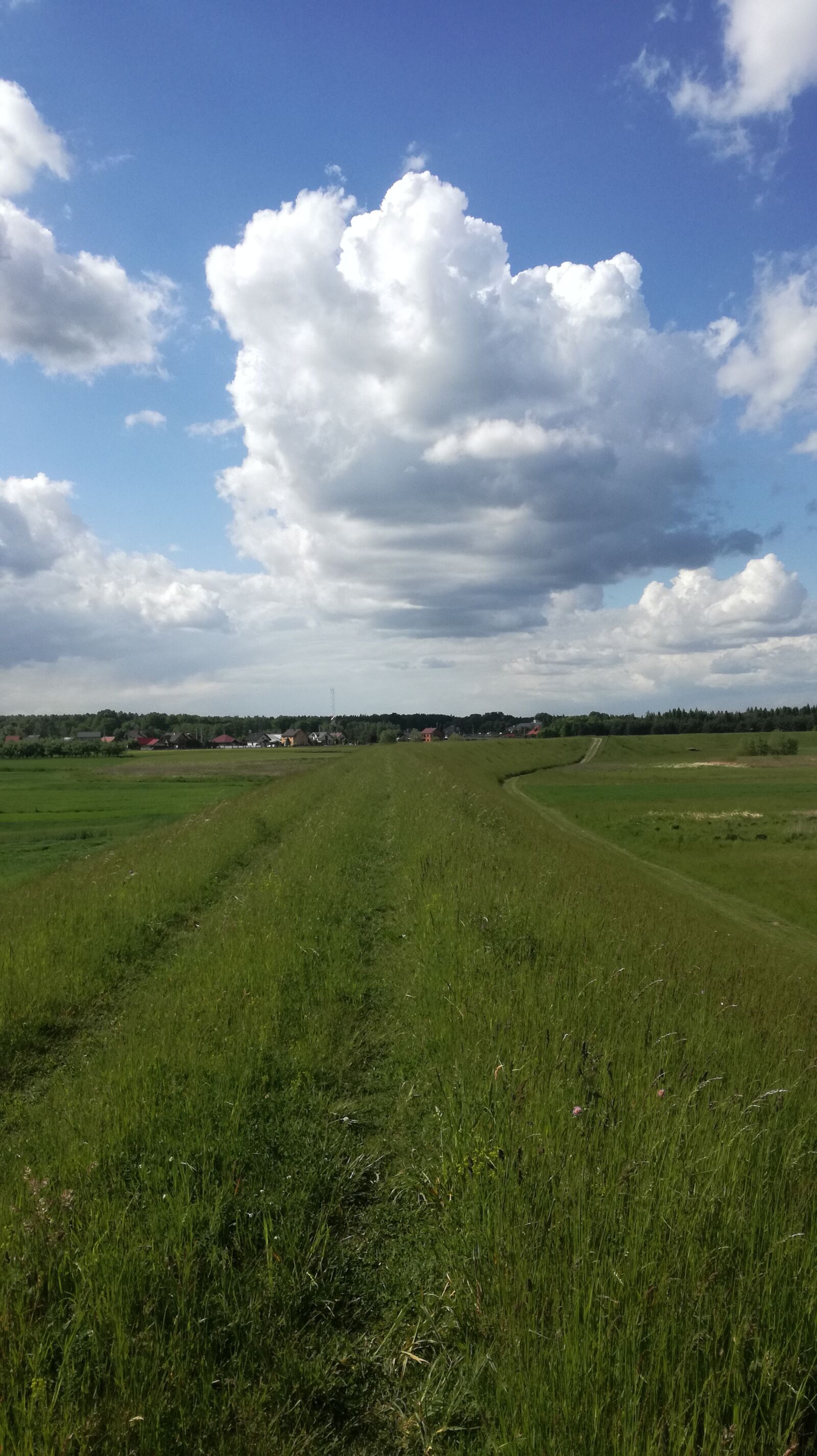 HUAWEI P9 LITE sample photo. Nature, clouds, cloud photography