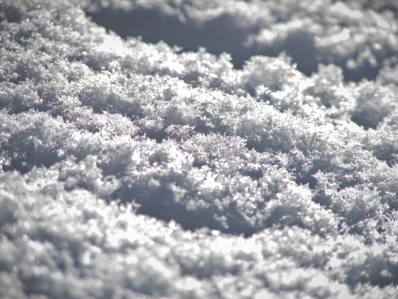 Canon PowerShot SX500 IS sample photo. Snow, crystals, winter photography
