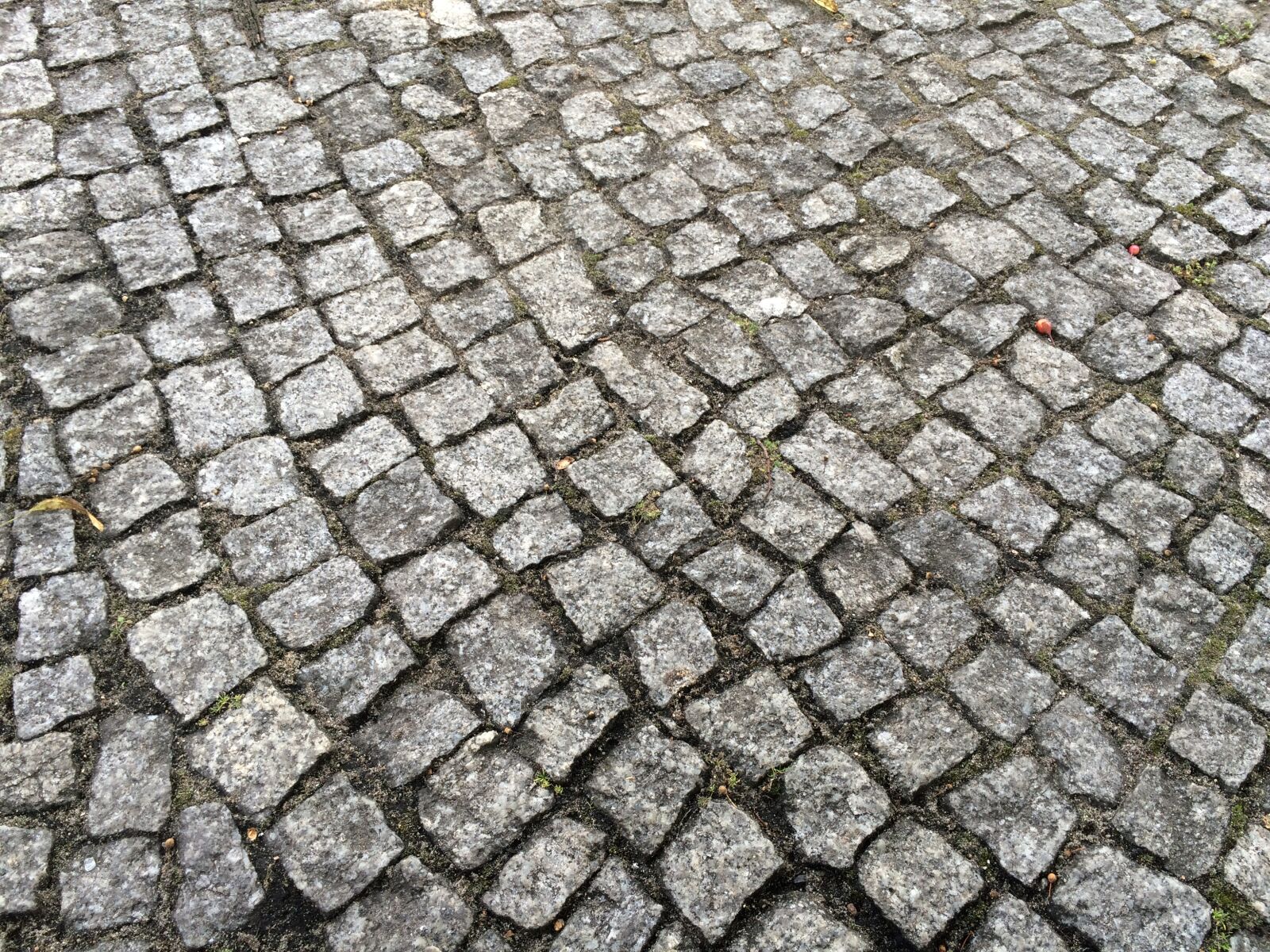 iPhone 5s back camera 4.15mm f/2.2 sample photo. Pavement, high road, paving photography