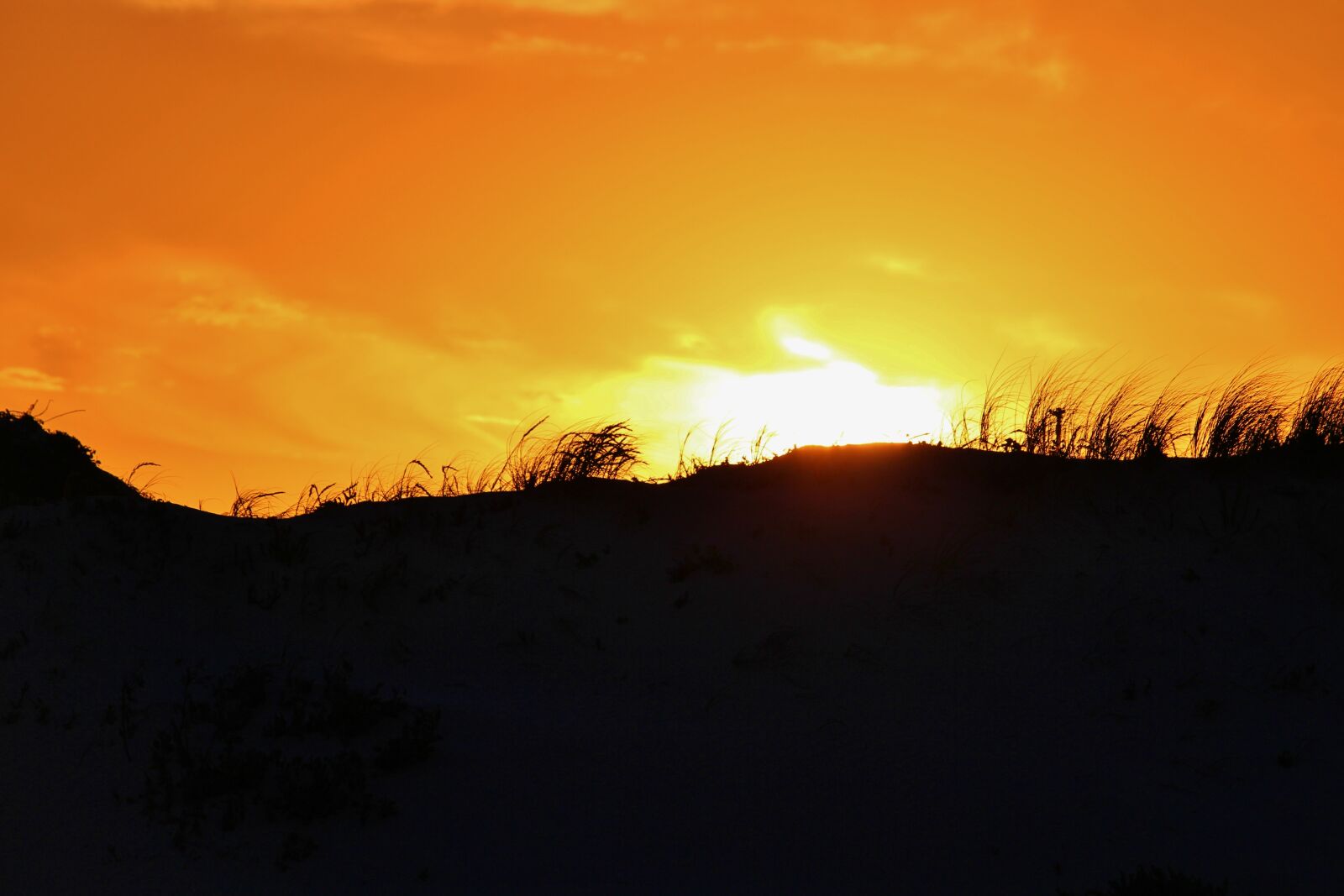 Canon EOS 650D (EOS Rebel T4i / EOS Kiss X6i) sample photo. Dune, sunset, coast photography
