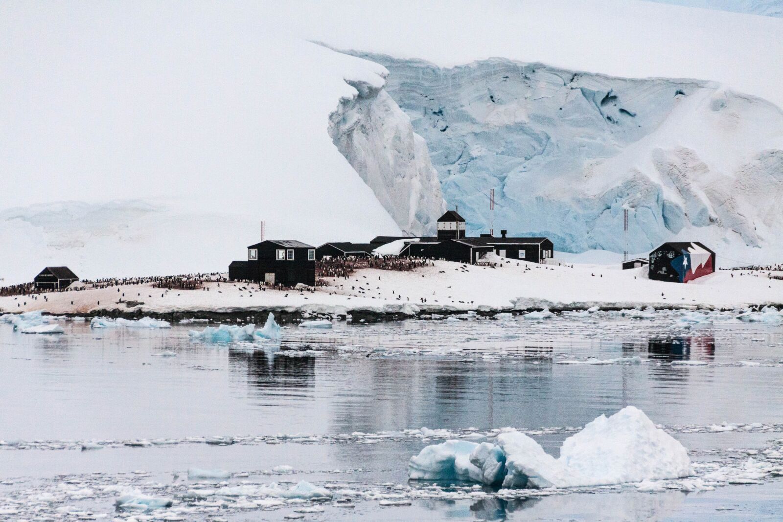 Canon EOS 50D sample photo. Antarctica, continent, pol photography
