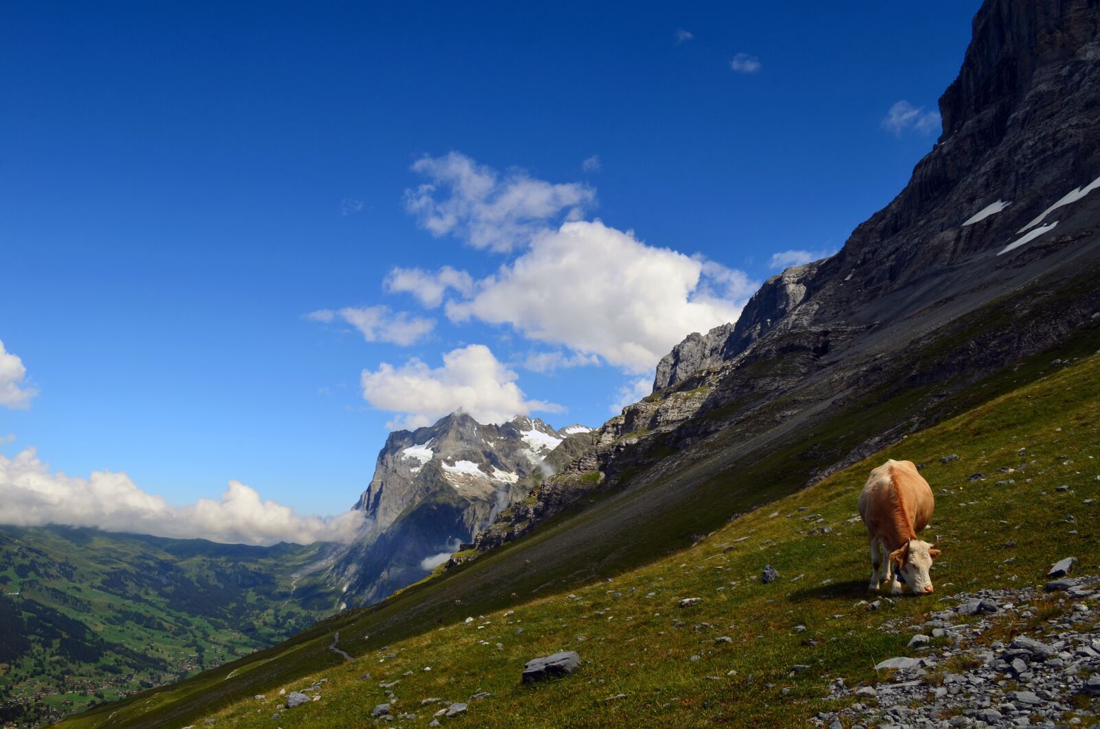 Nikon D5100 sample photo. Wetterhorn, grindelwald, alpine photography