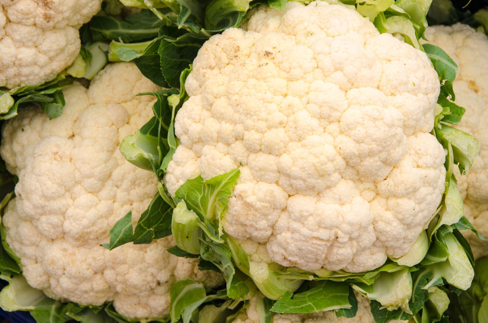 Nikon D5100 sample photo. Cauliflower, head, white photography