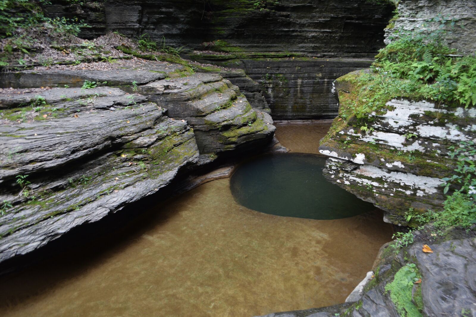 Nikon D3300 sample photo. Pool, water, nature photography