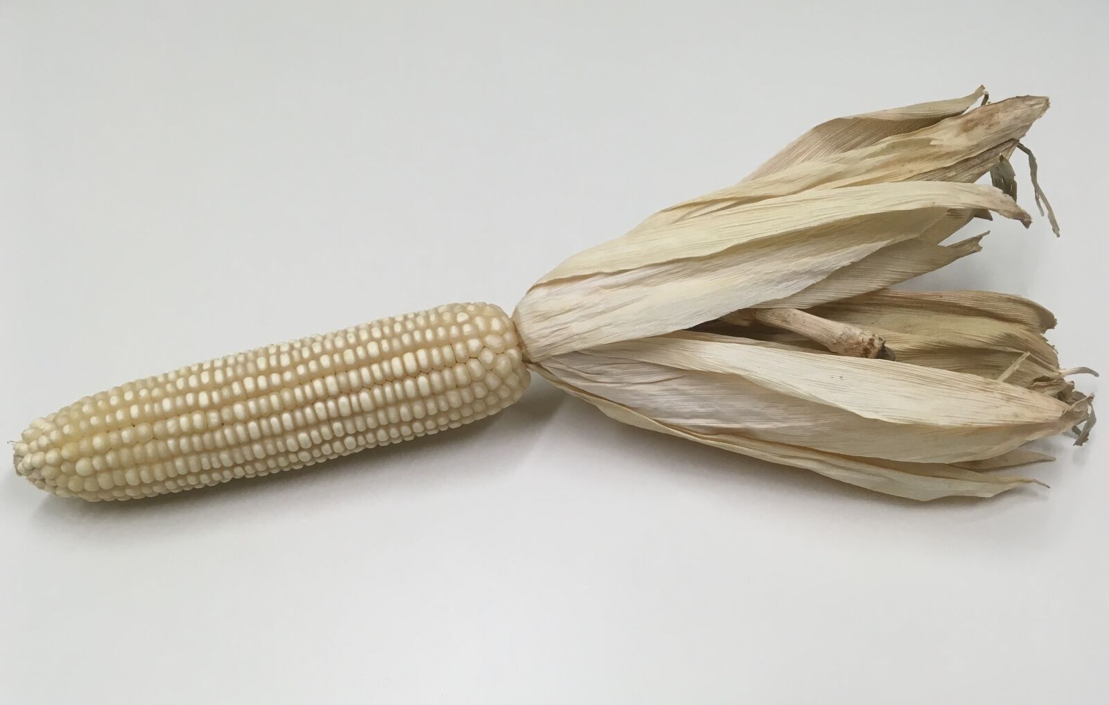 iPhone SE back camera 4.15mm f/2.2 sample photo. Corn, corncob, food photography