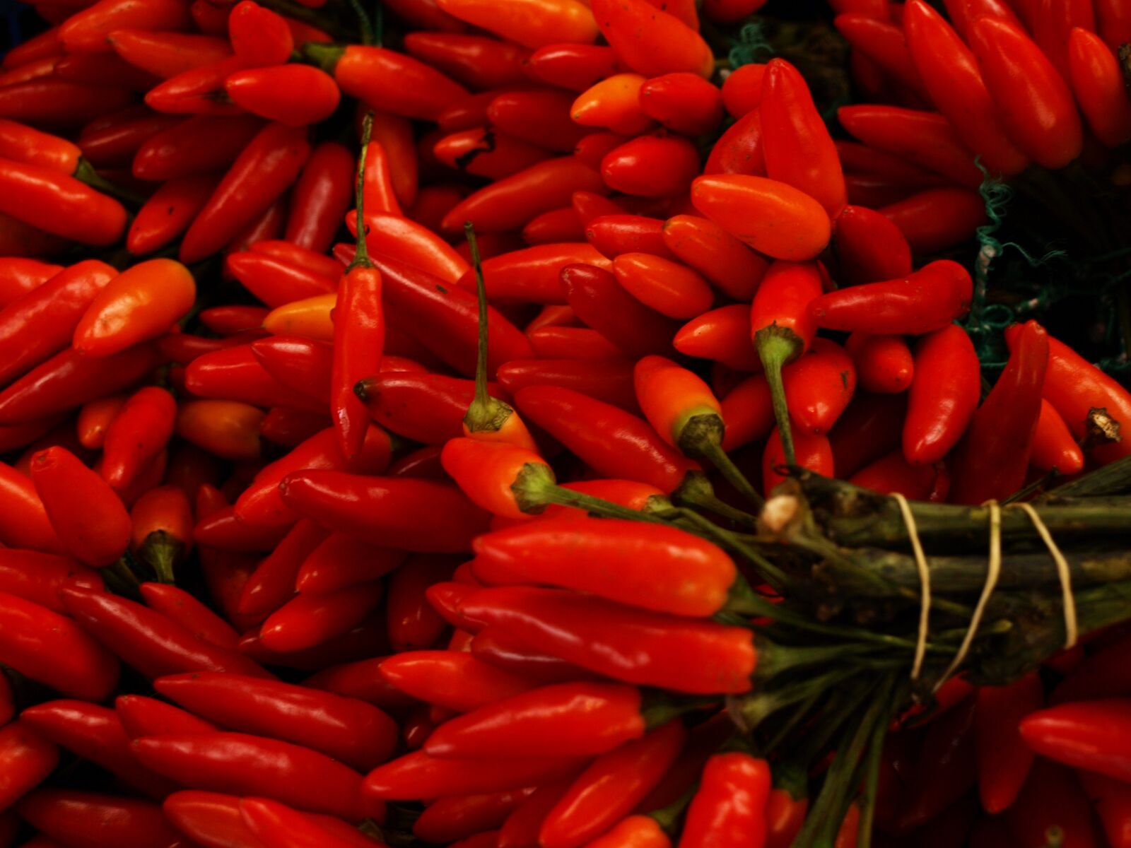 Olympus E-510 (EVOLT E-510) sample photo. Farmers local market, pepperoni photography