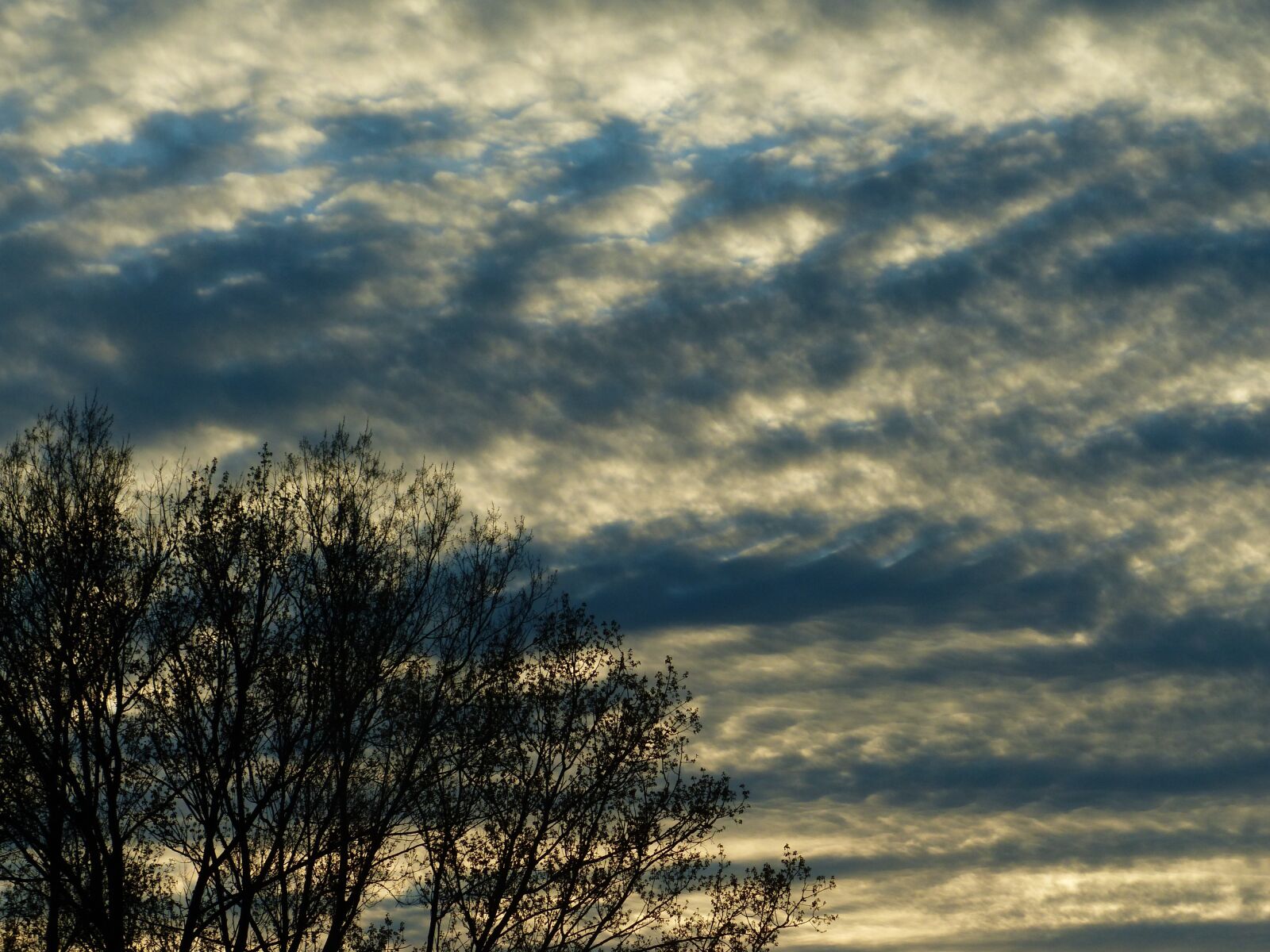 Panasonic Lumix DMC-FZ200 sample photo. Sky, clouds, trees photography
