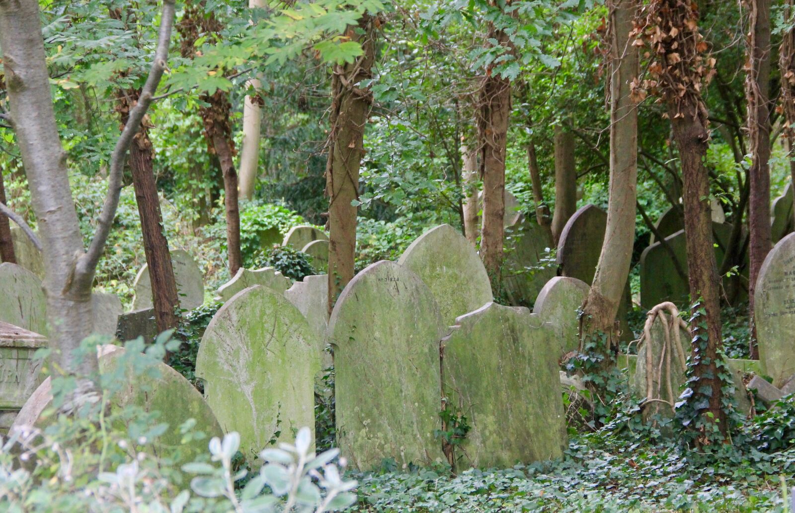 Canon EOS 60D sample photo. Forgotten, cemetery, graveyard photography
