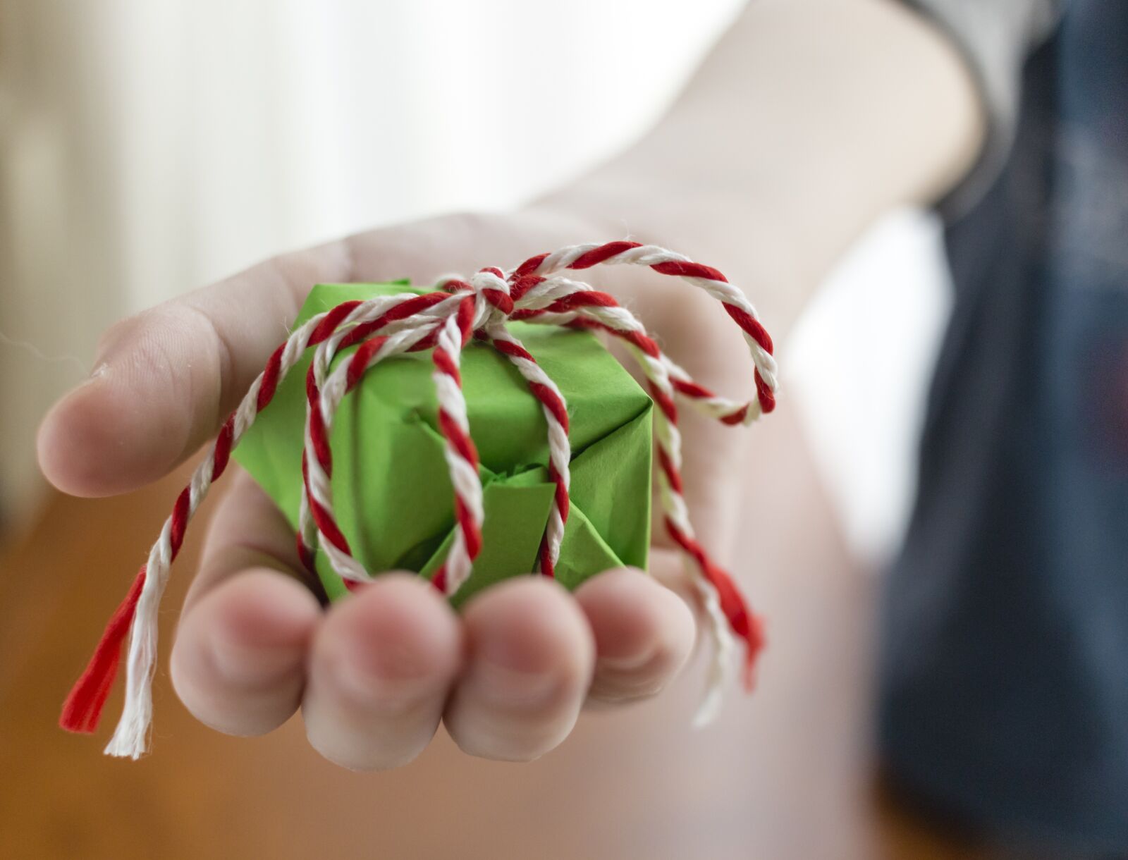 Canon EF-S 24mm F2.8 STM sample photo. Gift, hand, wrapped photography