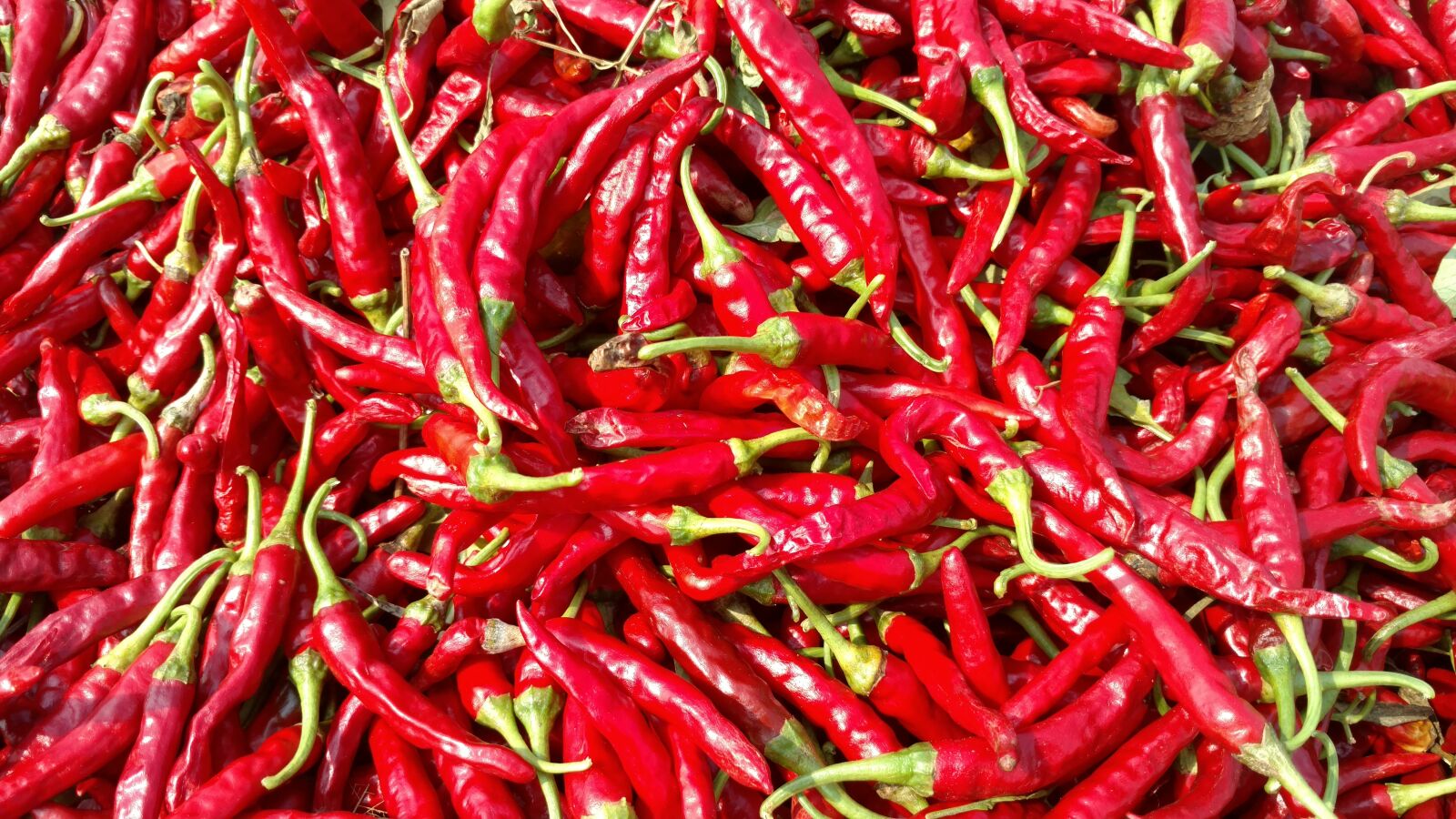 Motorola Moto X Style sample photo. Chili, cayenne, food photography