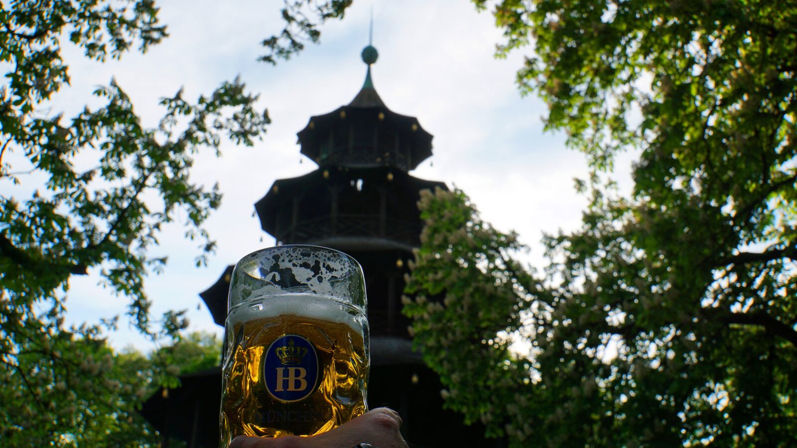 Sony E 18-200mm F3.5-6.3 OSS LE sample photo. Beer, beer mug, english photography