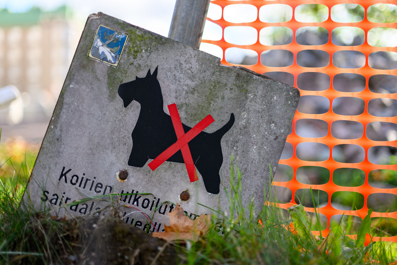 Nikon Z8 sample photo. No dogs photography