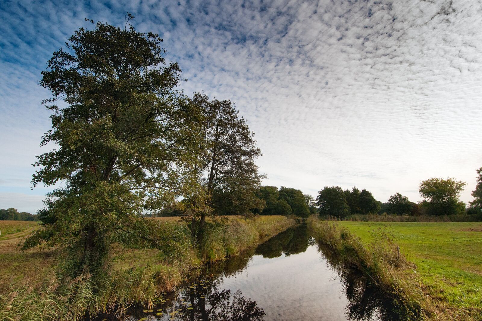 Nikon D90 sample photo. Blockland, bremen, northern germany photography