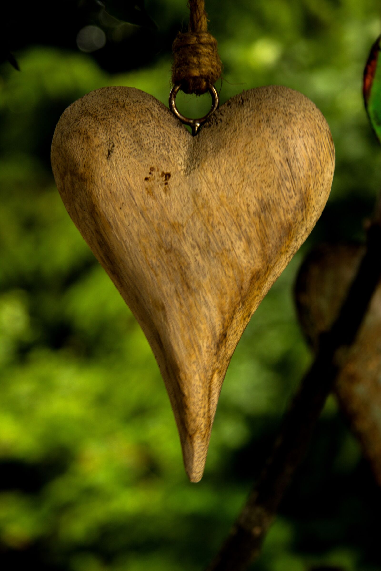 Canon EF-S 17-85mm F4-5.6 IS USM sample photo. Heart, love, garden photography