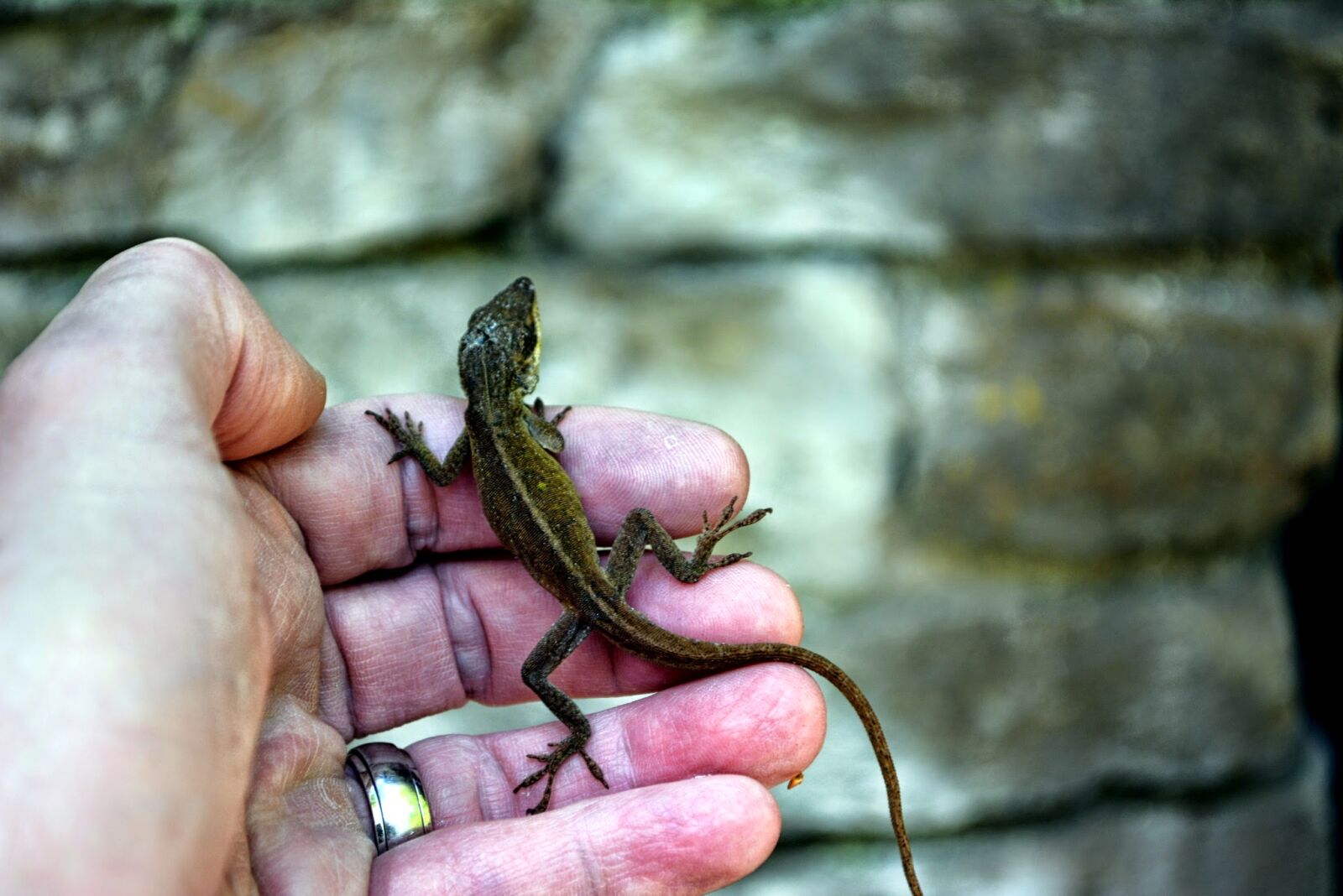 Nikon D5200 sample photo. Touching, nature photography