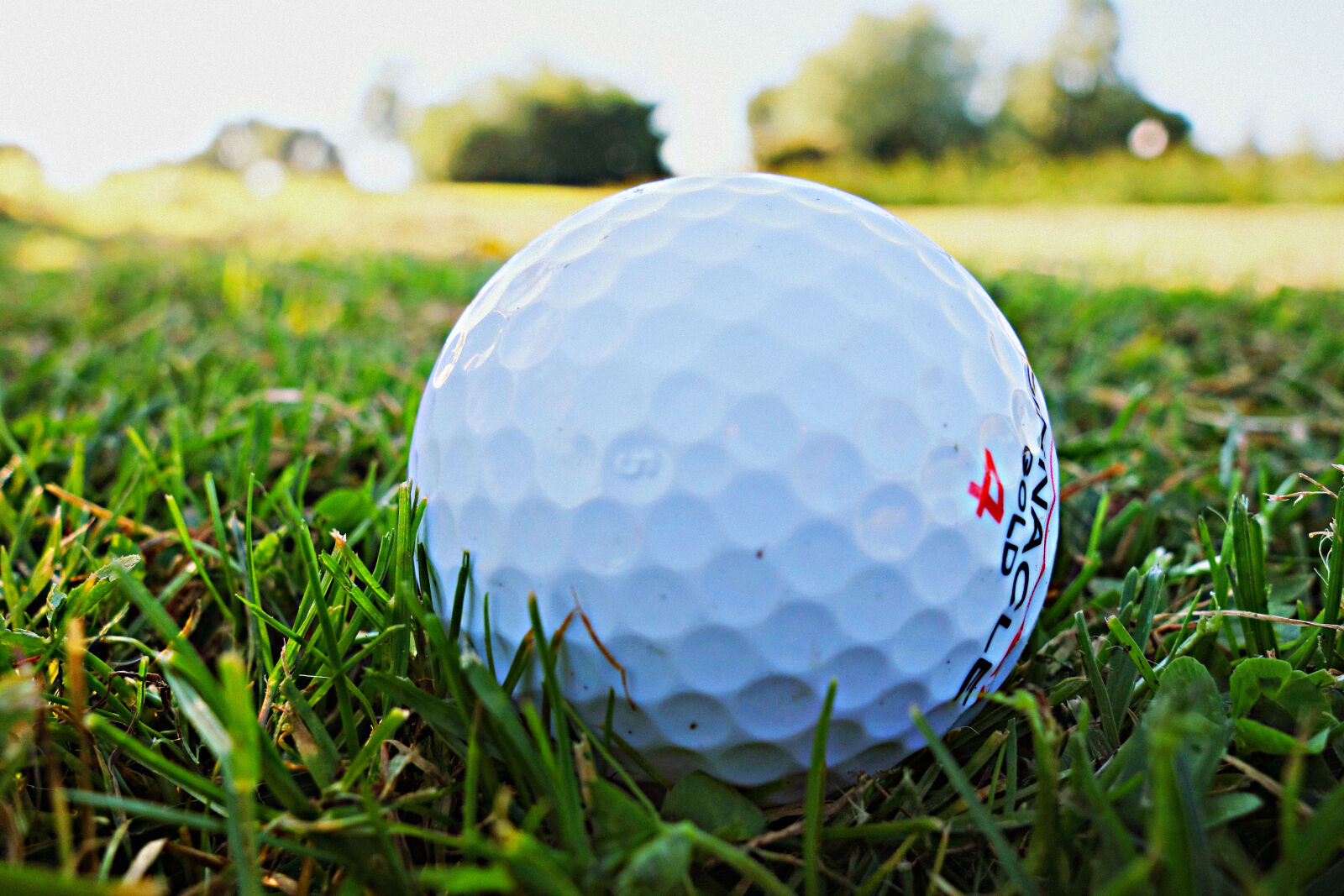 Sony Cyber-shot DSC-RX100 sample photo. Golf, golf, ball, golf photography