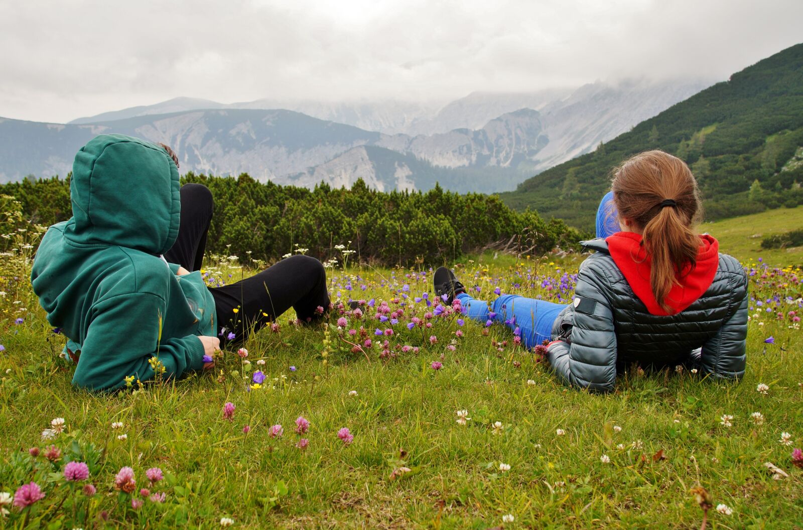 Sony SLT-A58 sample photo. Alps, mountains, nature photography