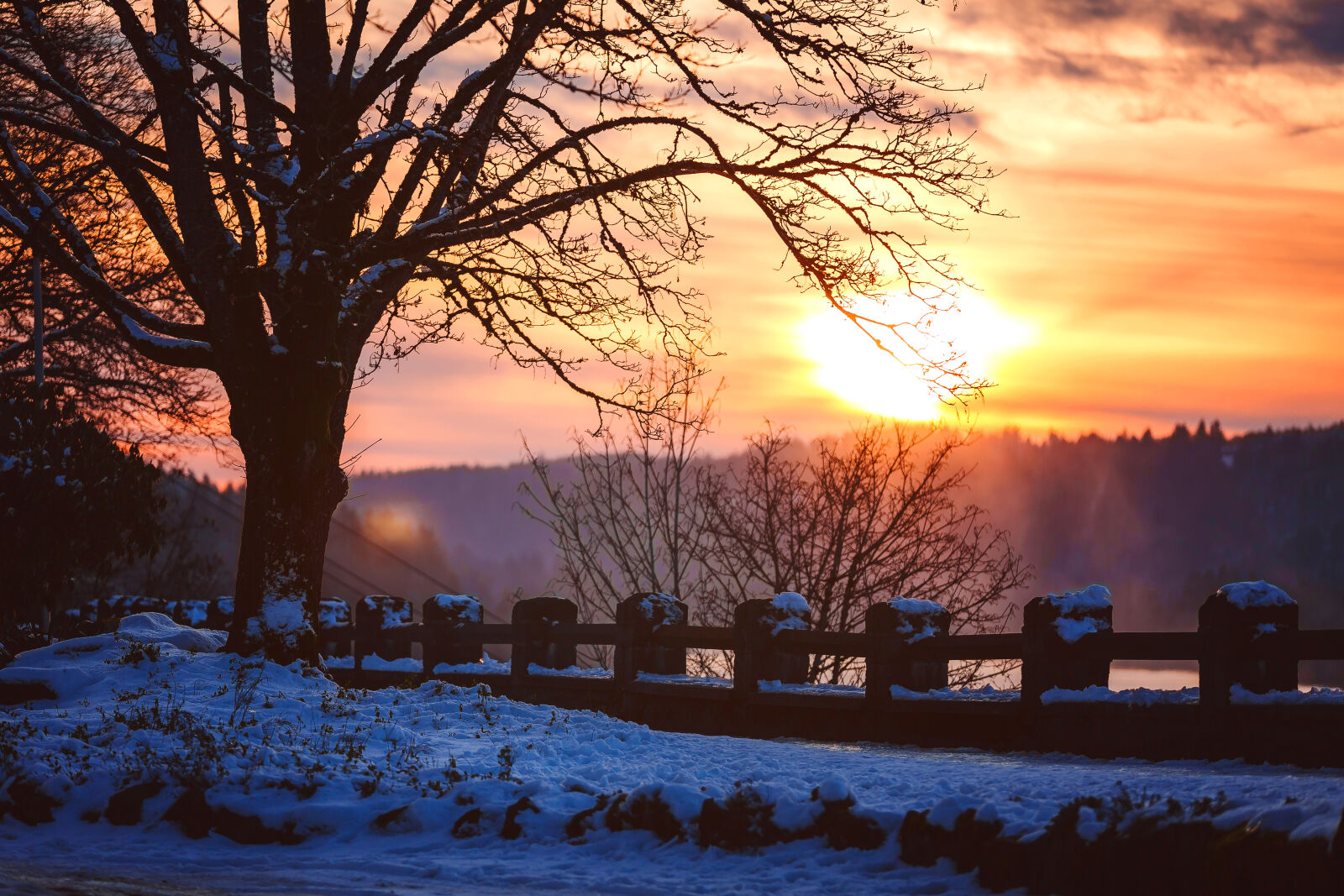 Canon EF 70-200mm F2.8L IS II USM sample photo. Backlit, cold, dawn, daylight photography