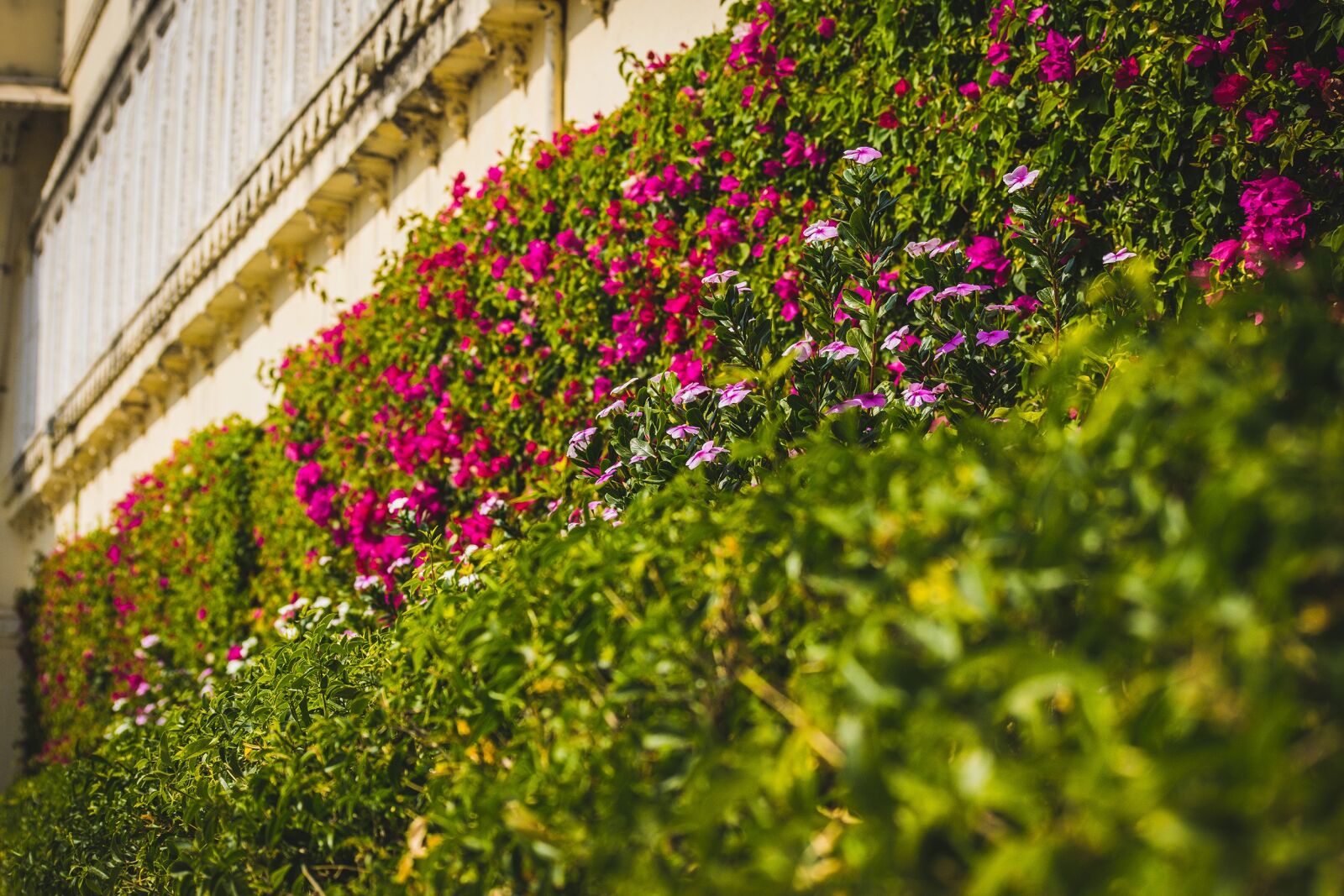 Nikon D5300 sample photo. Palace garden, flowers, palace photography