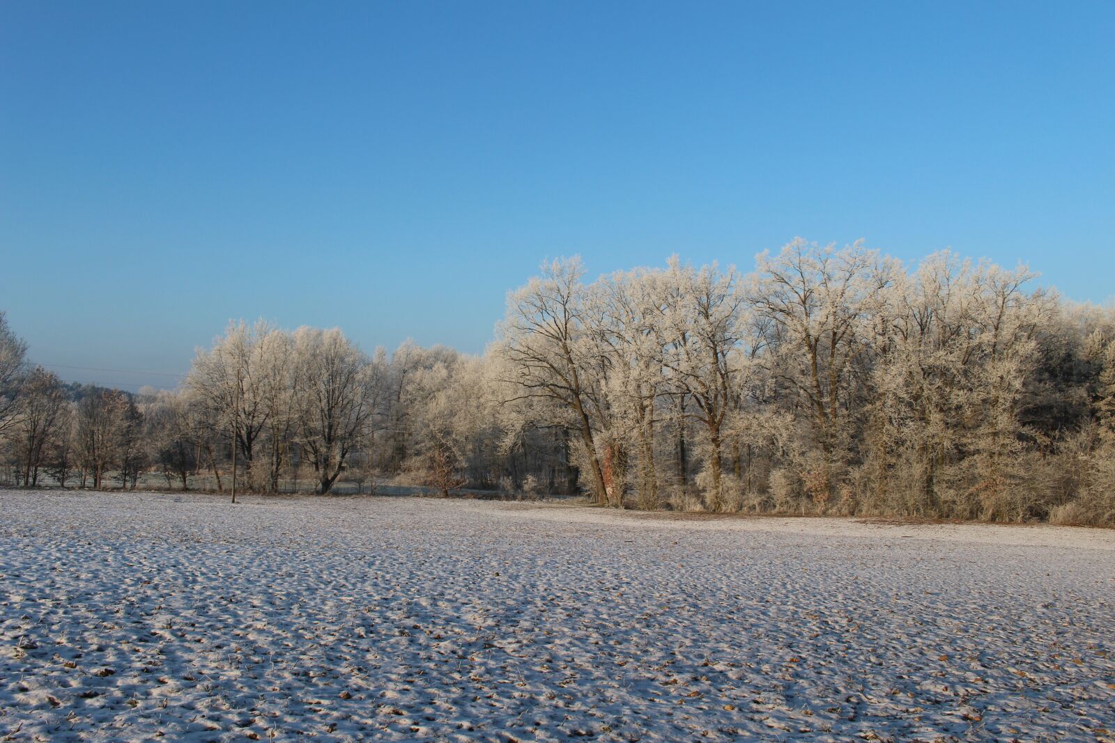 Canon EOS 100D (EOS Rebel SL1 / EOS Kiss X7) sample photo. Frost, forest, landscape photography