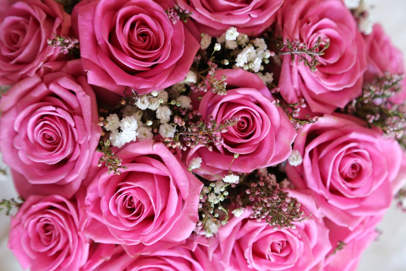 Canon EOS 6D sample photo. Pink, roses, wedding bouquet photography